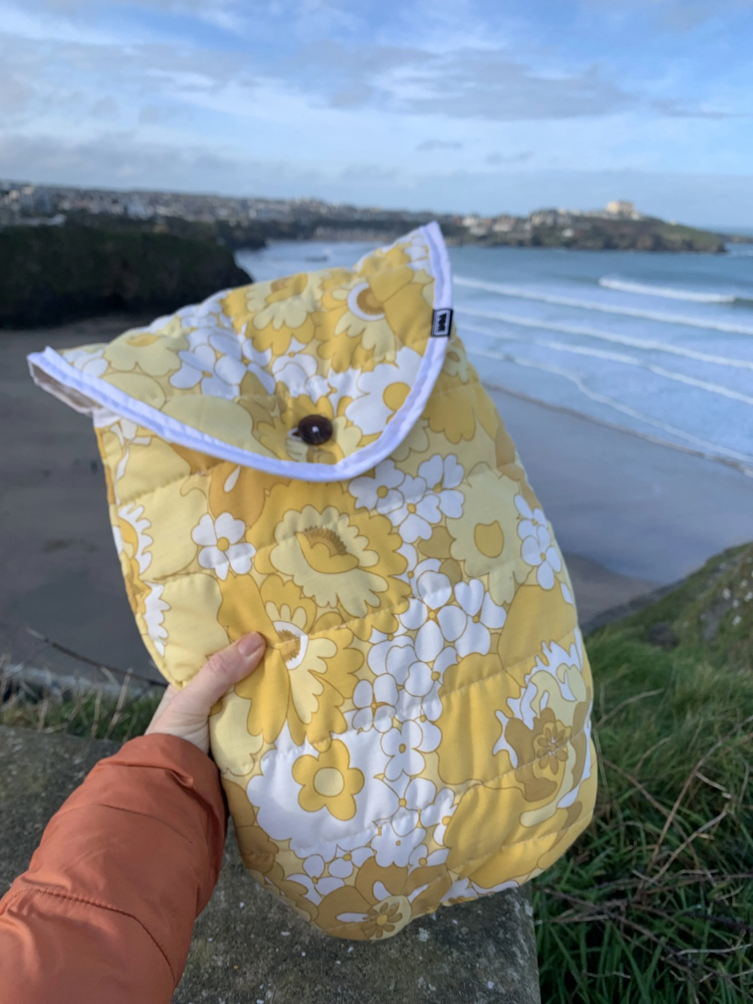 Padded Vintage Handplane Case