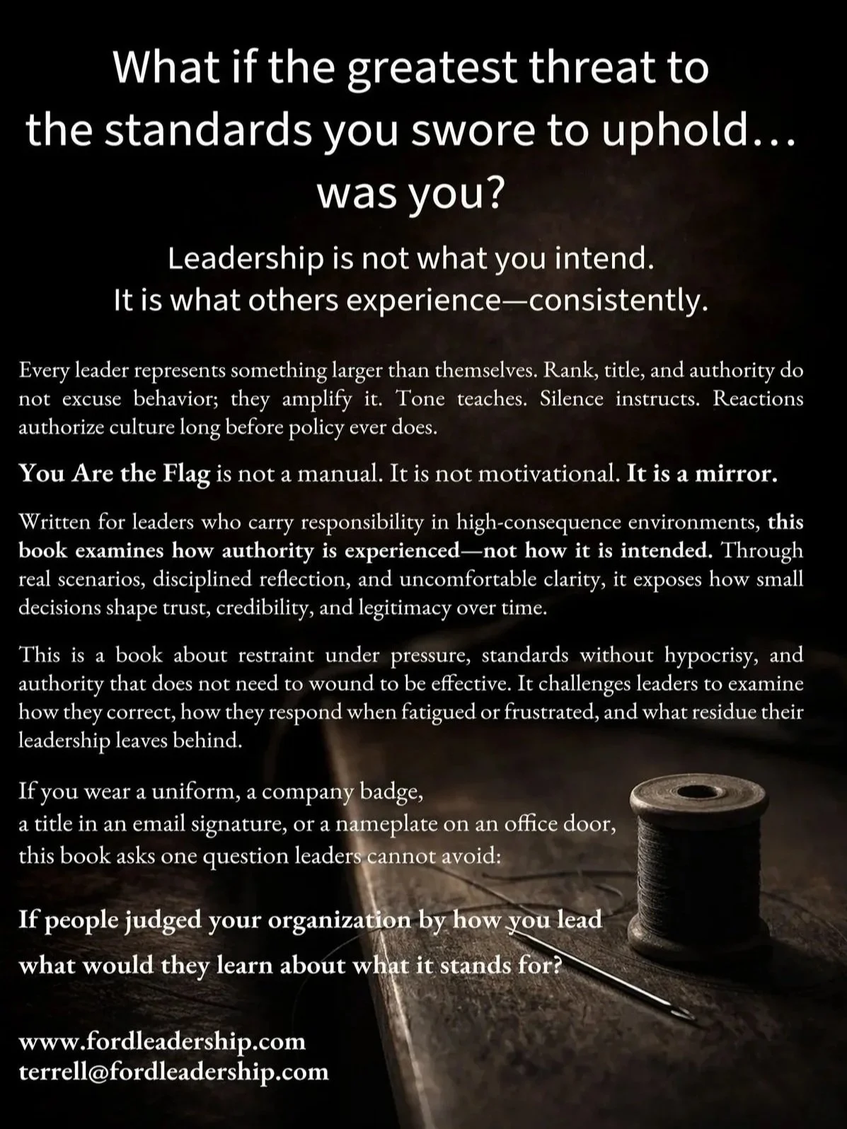 You%2Bare%2Bthe%2BFlag%2B-%2BPaperback.jpg