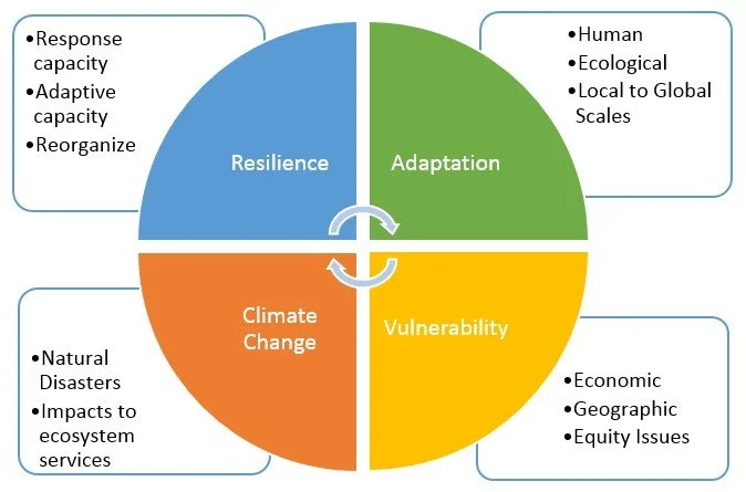 The Roots of Climate Resilience