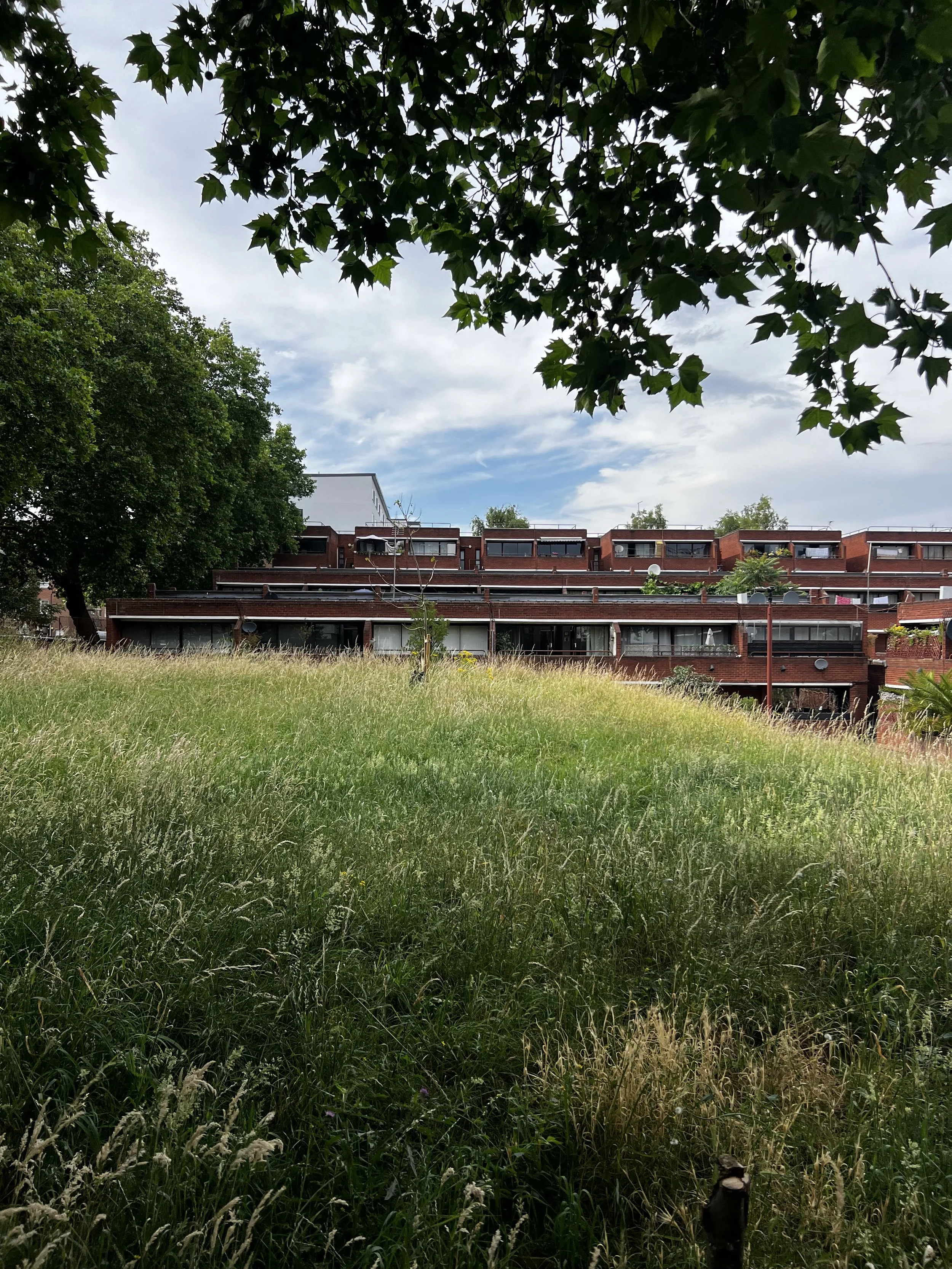 IMG_0702.jpeg