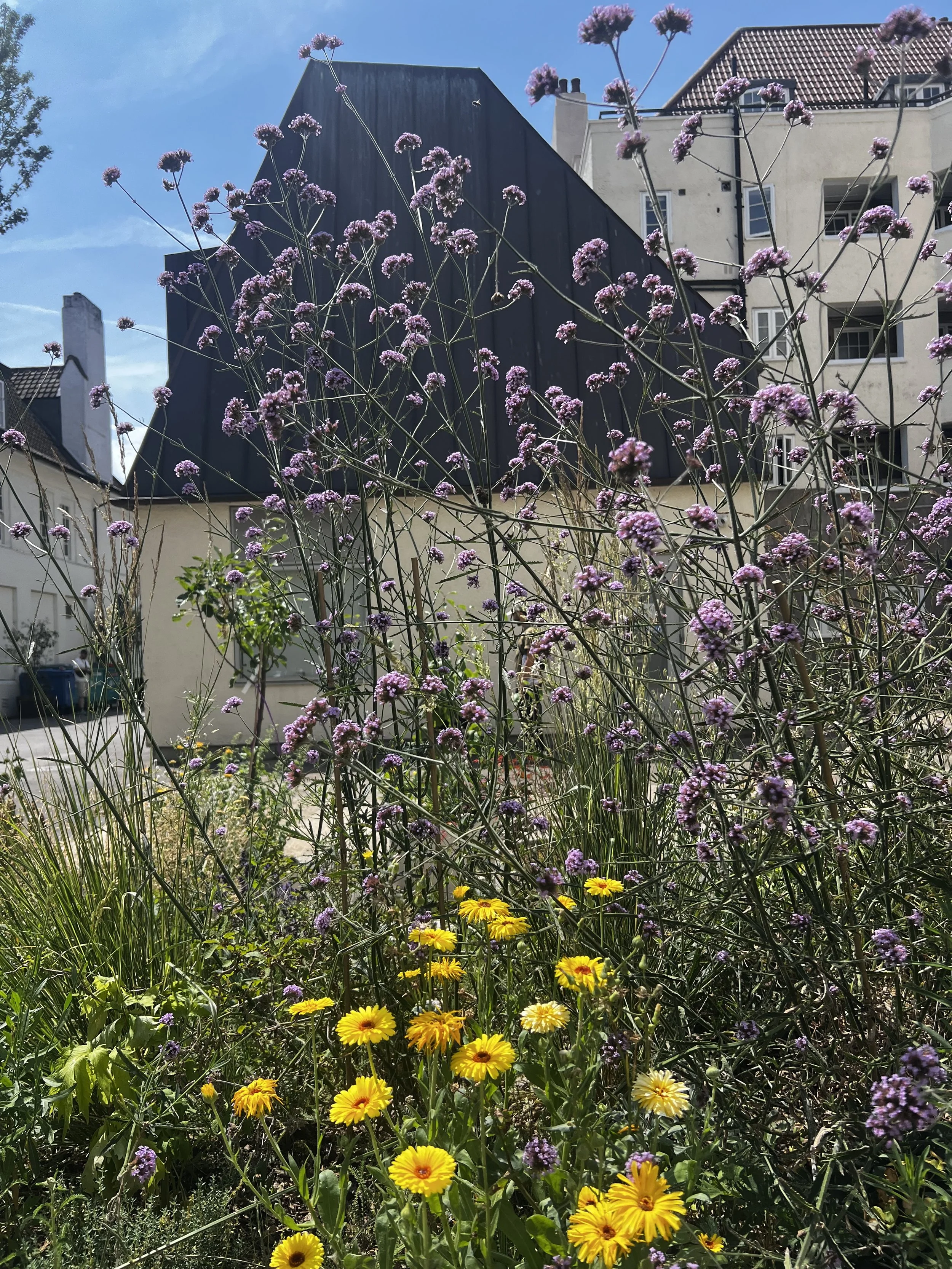 IMG_0632.jpeg
