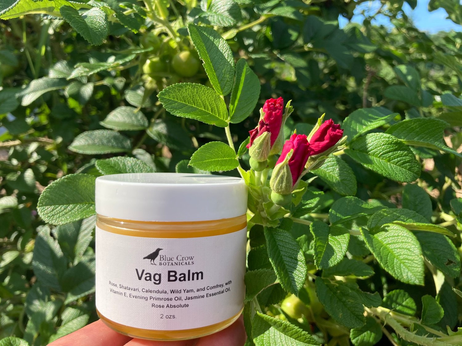 V Balm — Blue Crow Botanicals