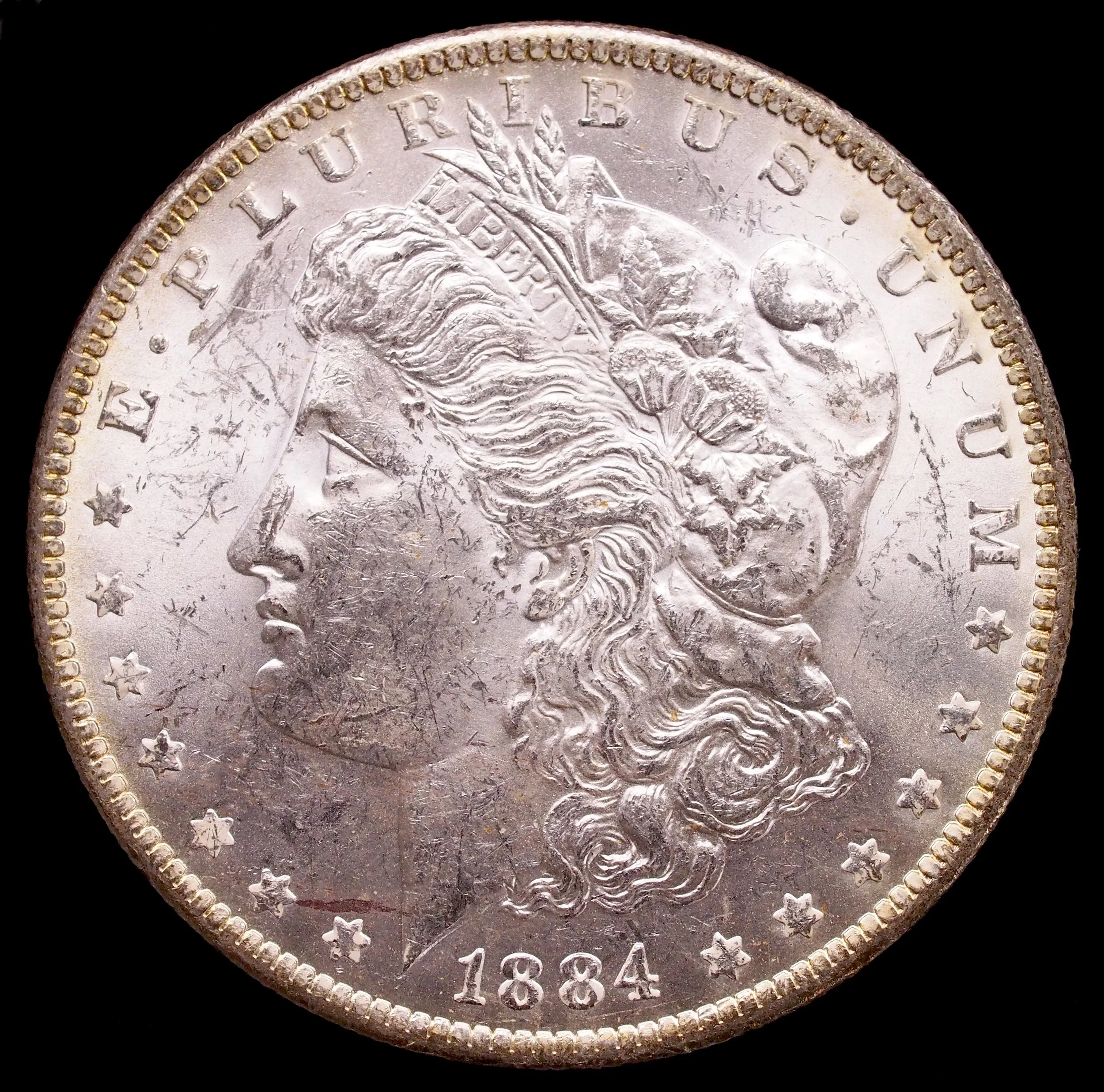US Dollar 1884 O L0803 2.jpg