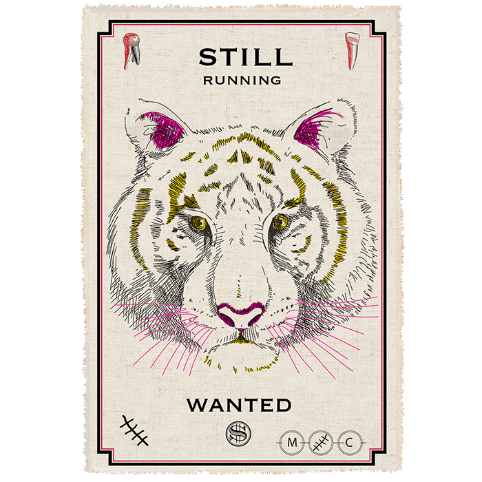 Tiger - Fellow patcher