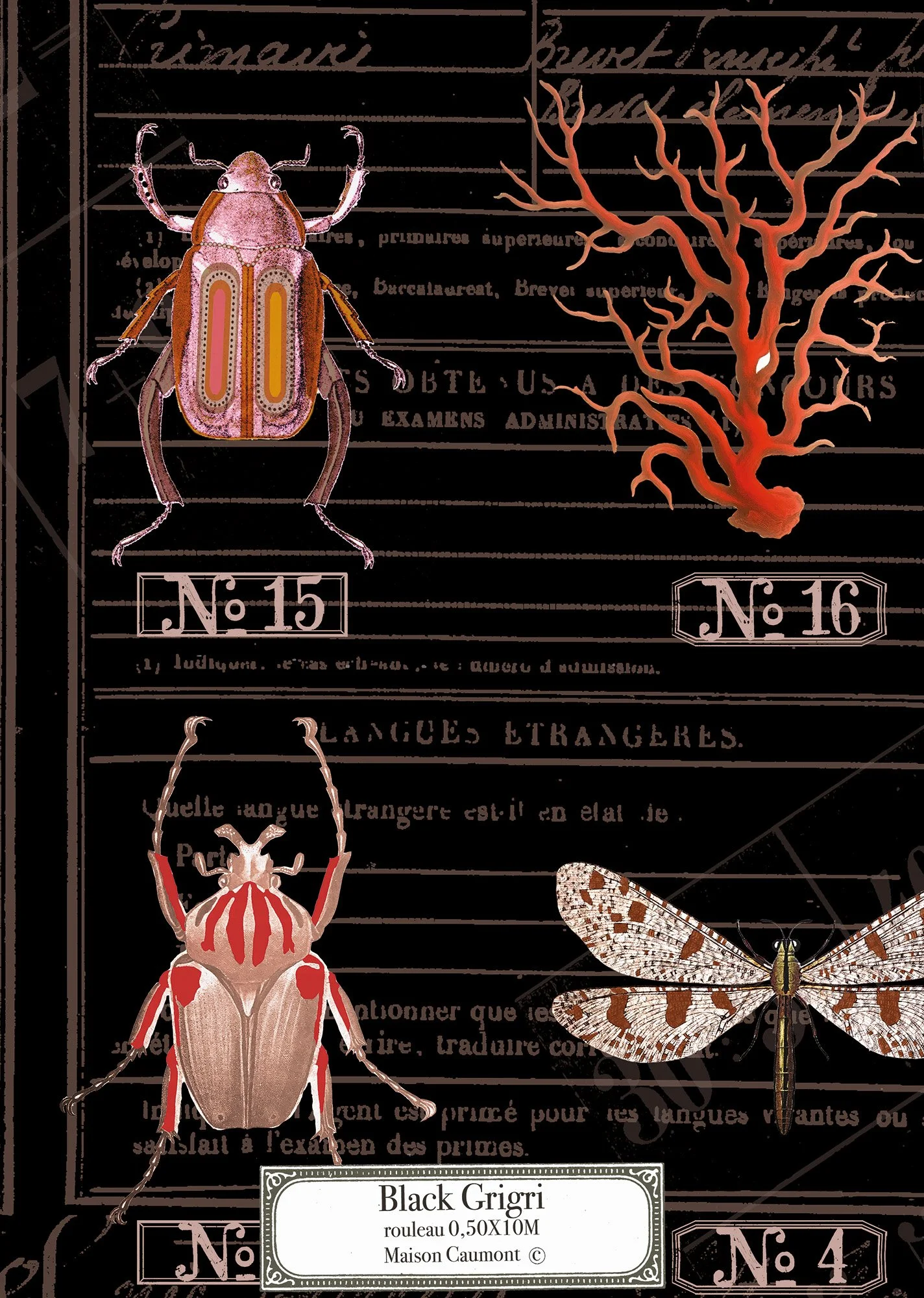 Échantillon Grigri Black Maison Caumont, papier peint aux papillons et insectes inspiré d’un cabinet de curiosités