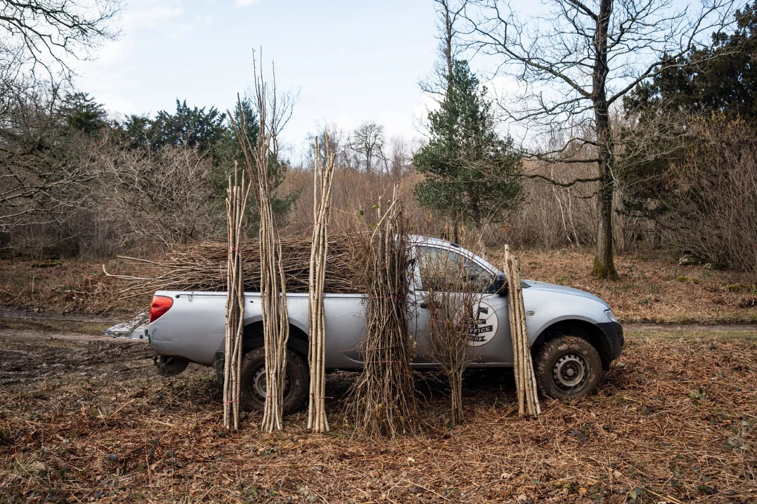 The Coppice Co-op