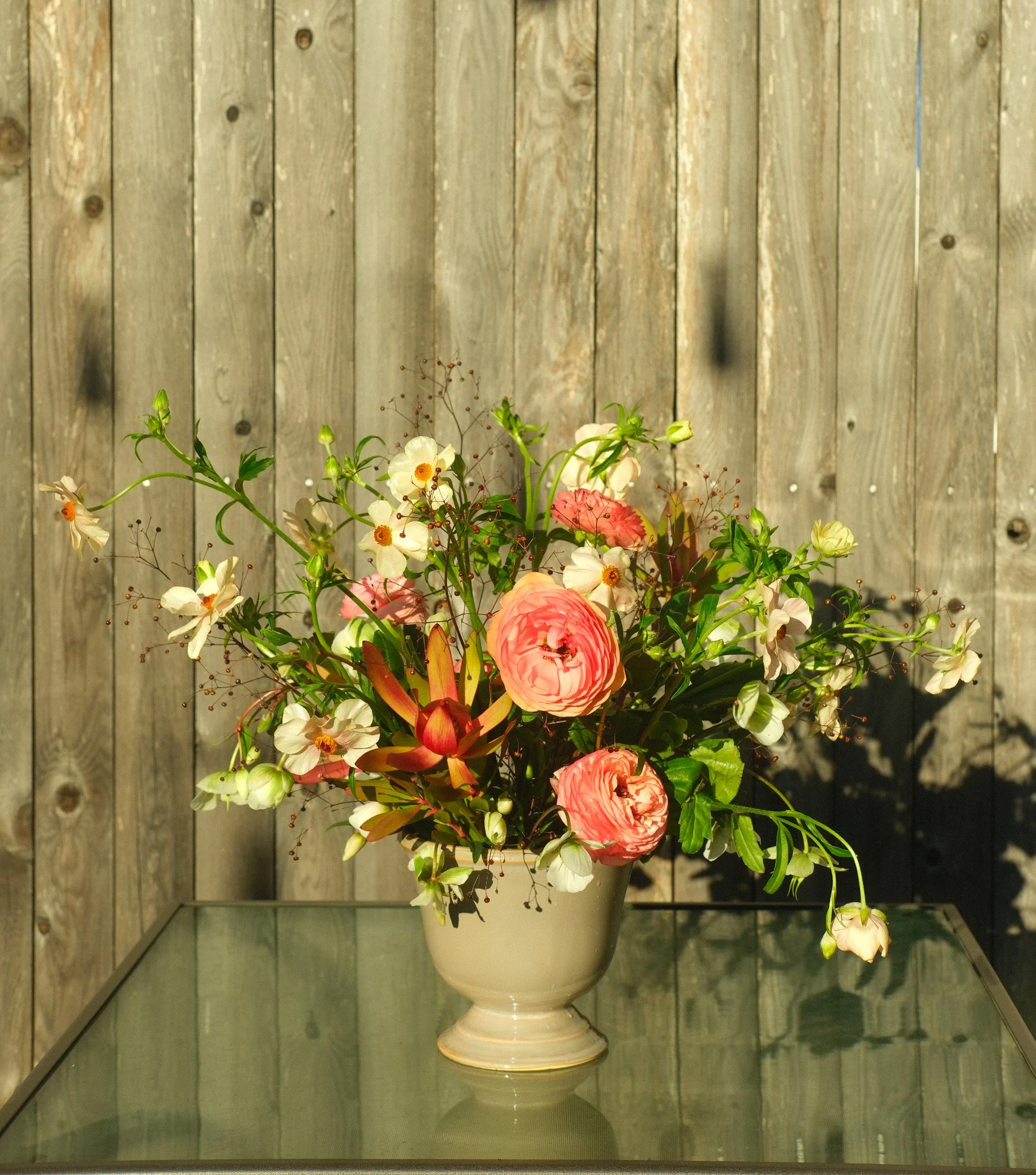 Final Feb Website photos-6.jpg