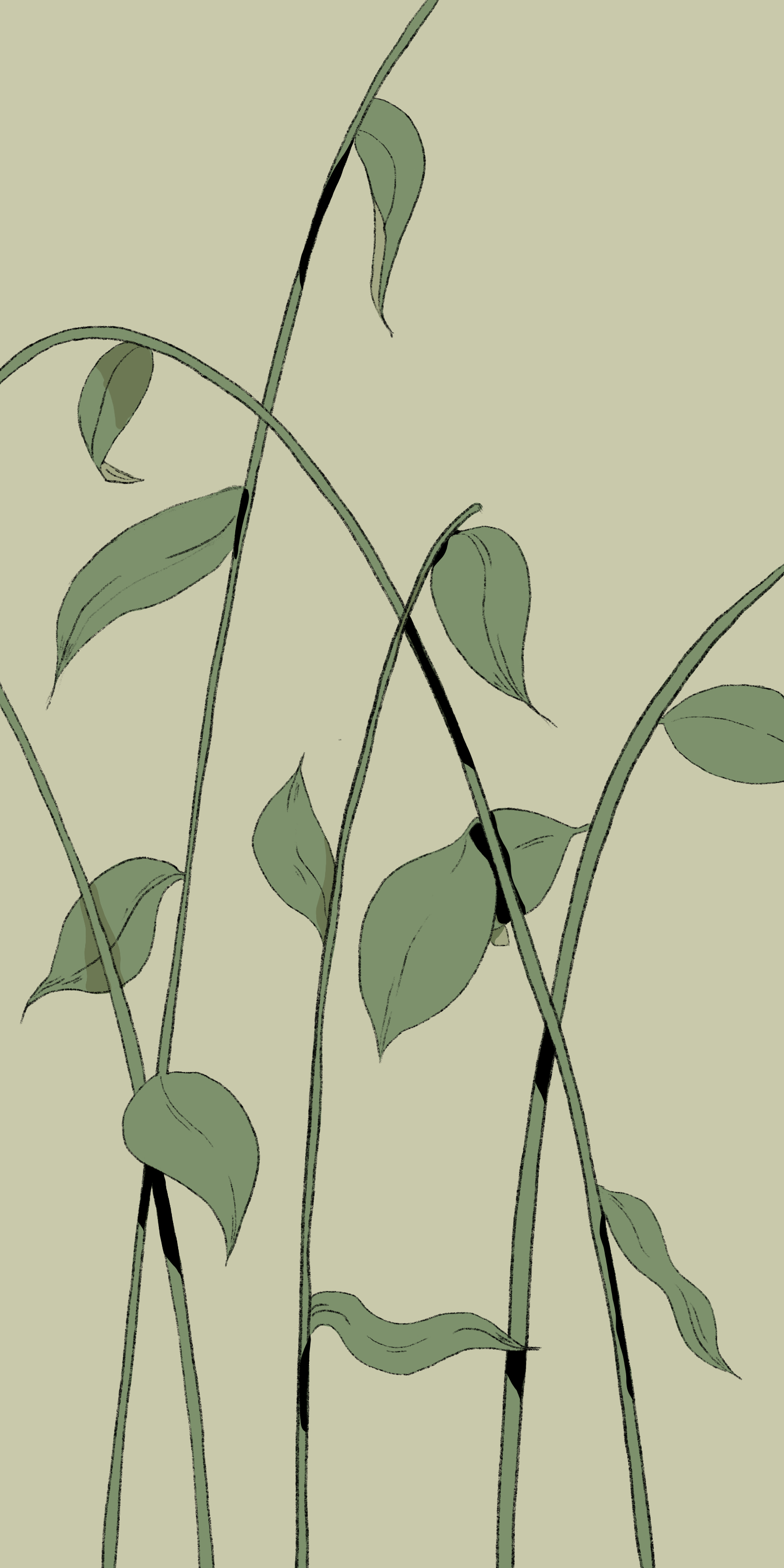 Green Leaves_Artwork 3 copy.png