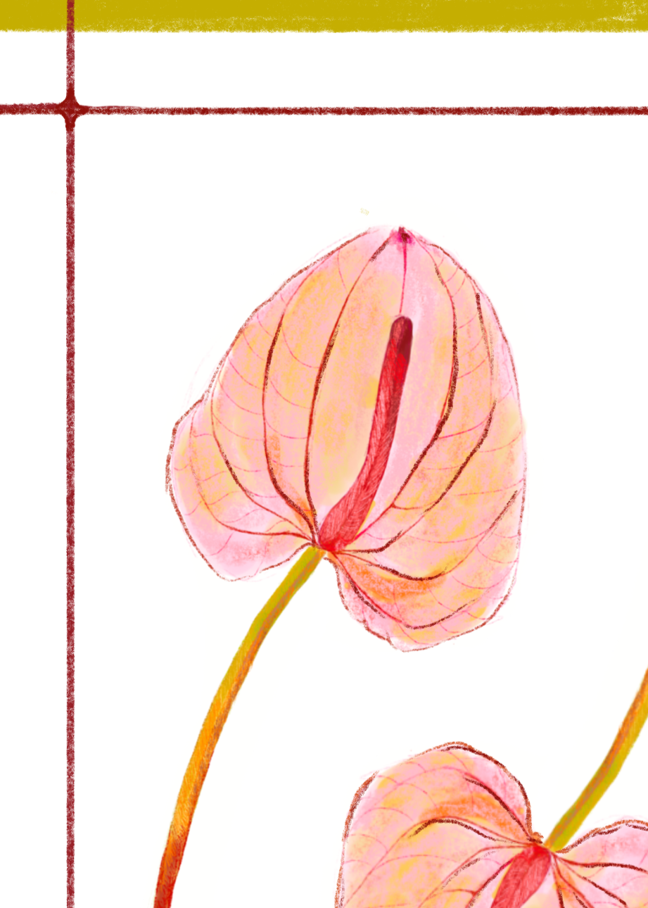 Anthurium_Artwork+5.png