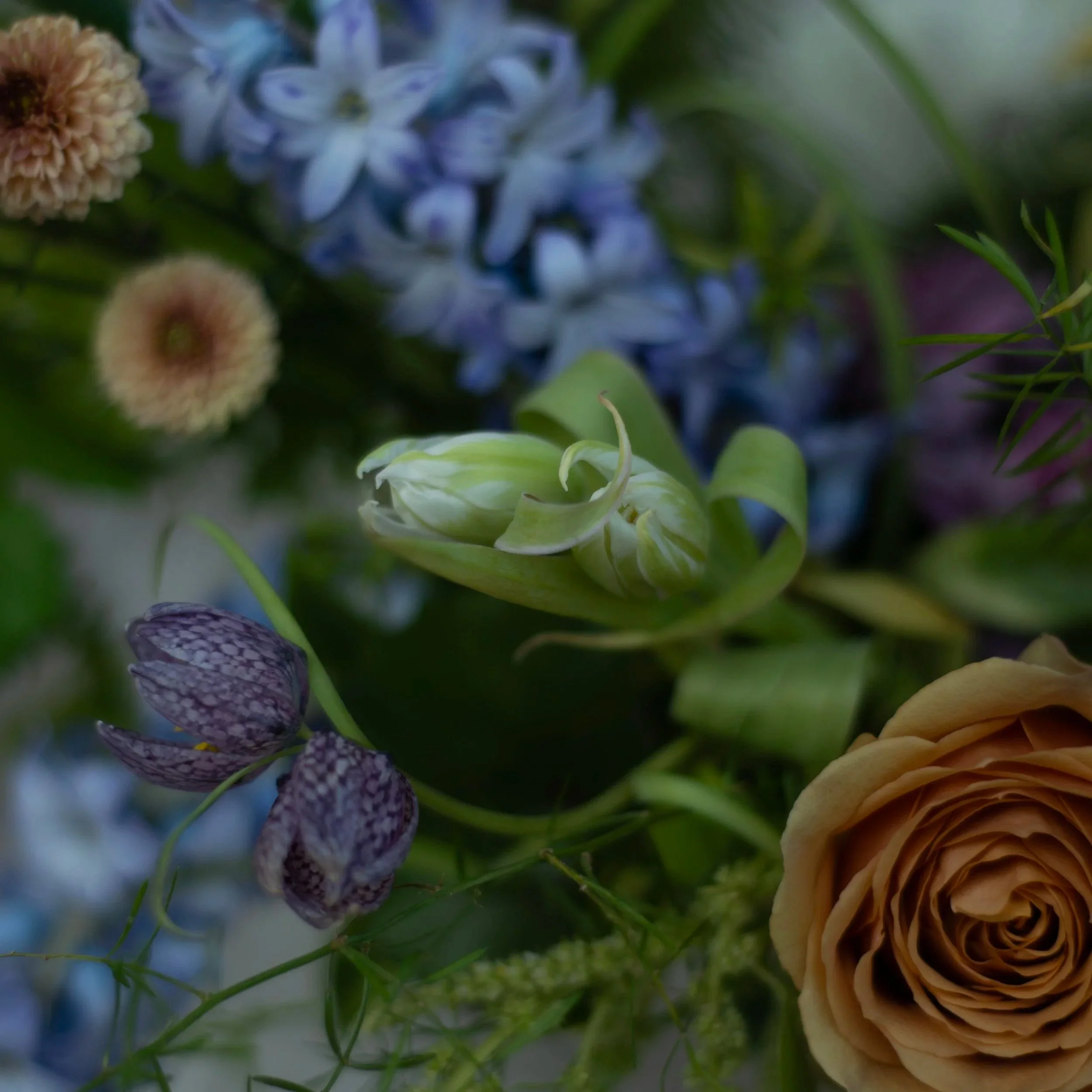 flowers, floral arrangement, bouquet