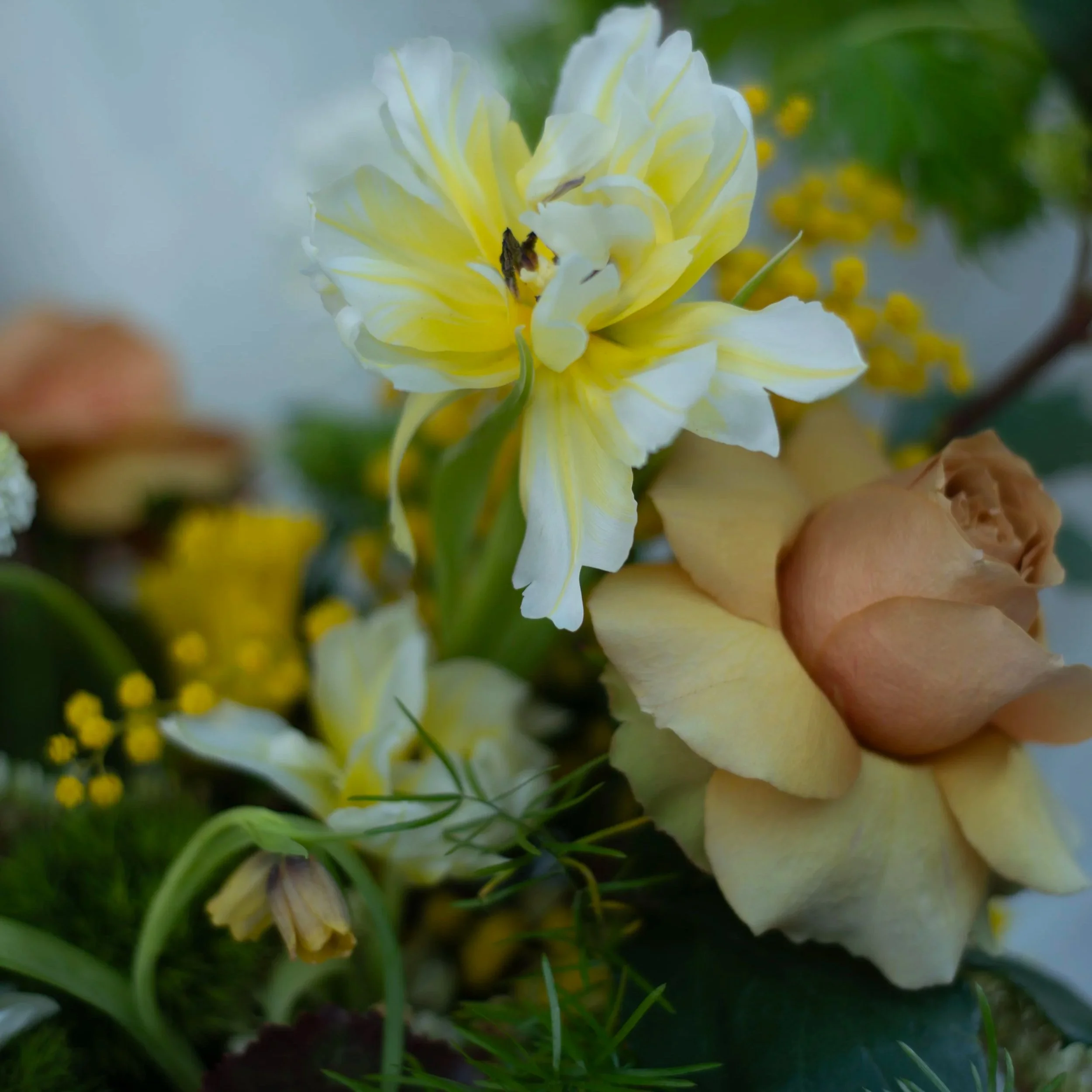 flowers, floral arrangement, bouquet