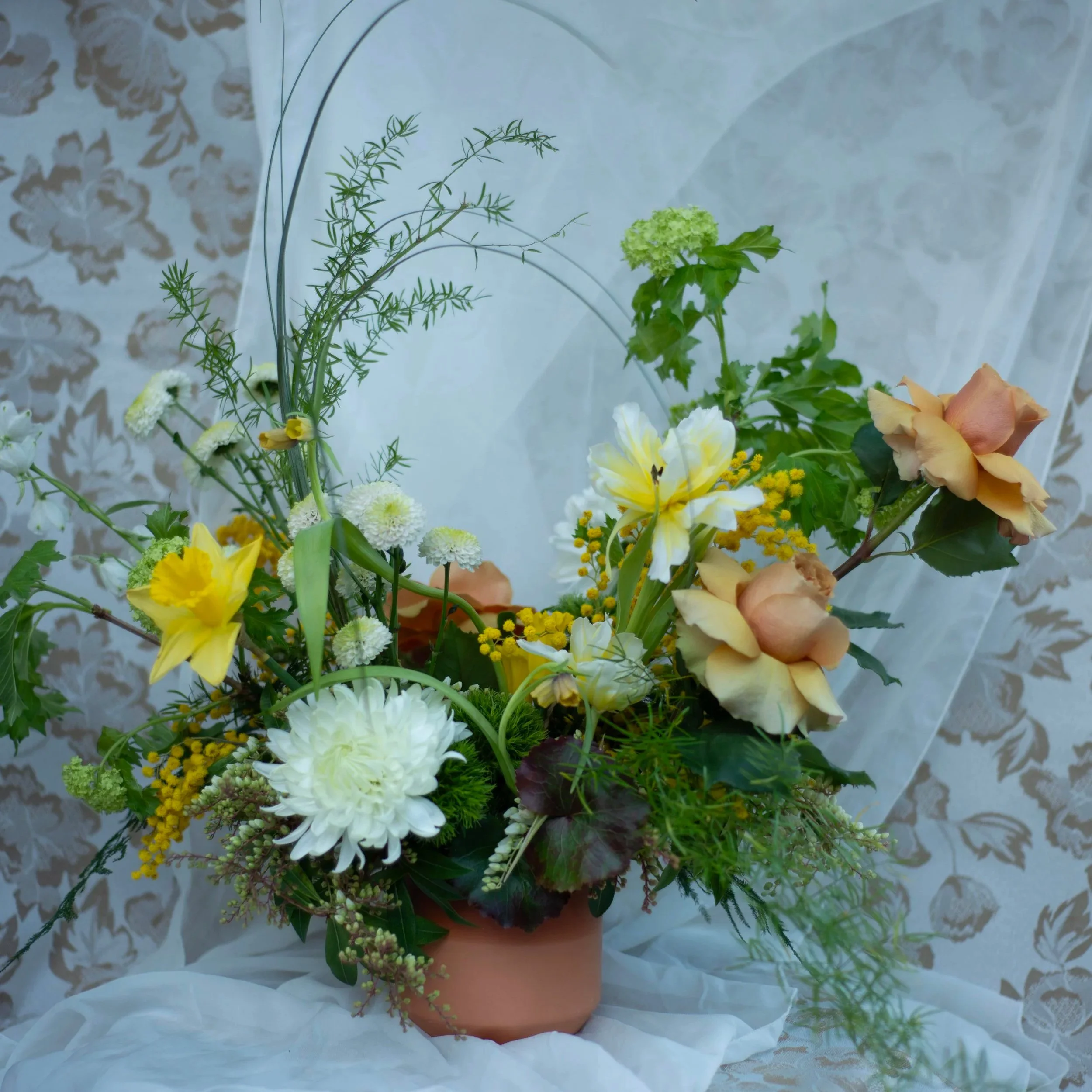 THE HUMMINGBIRD: Bold and beautiful