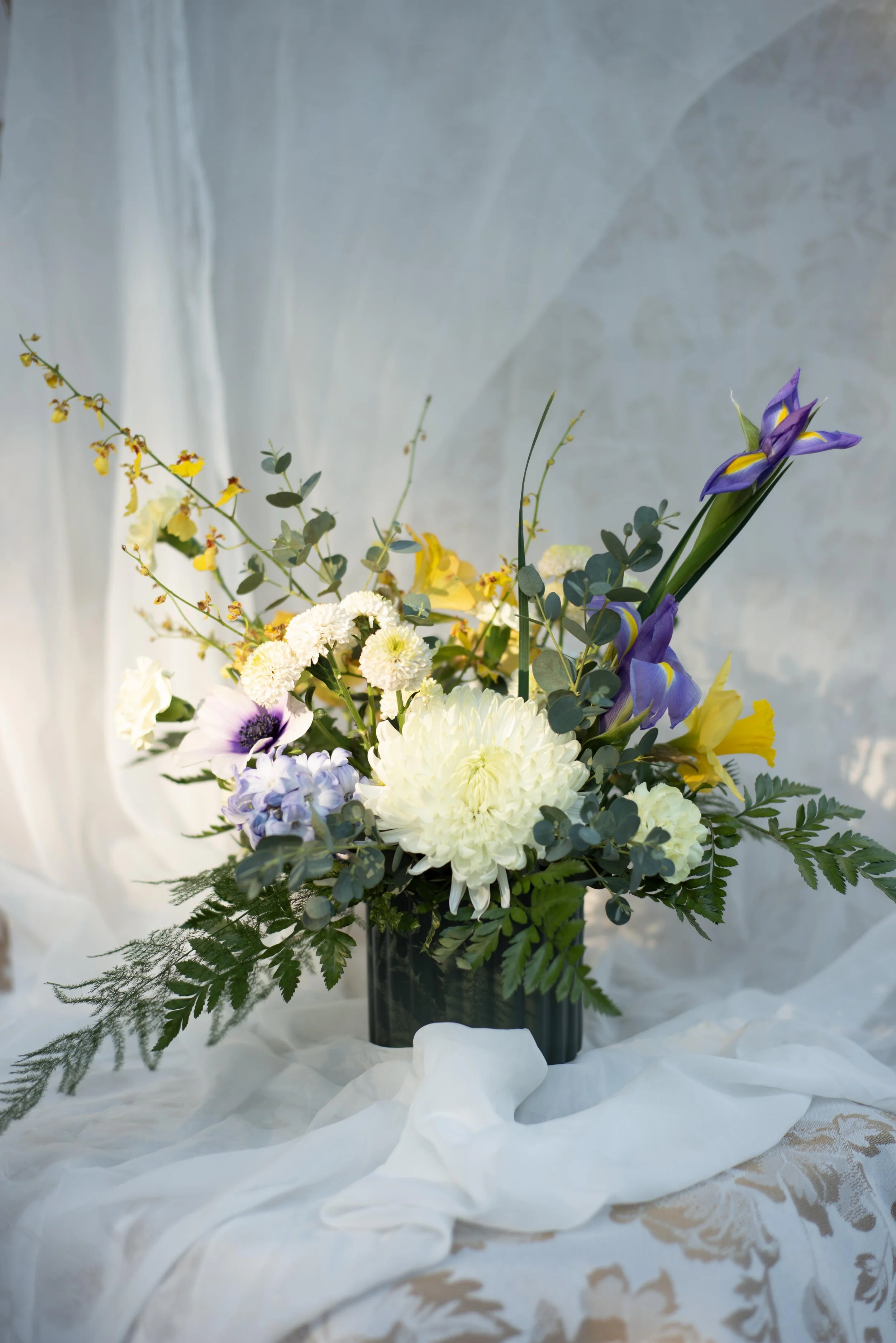 THE LADYBUG: Classy little thang