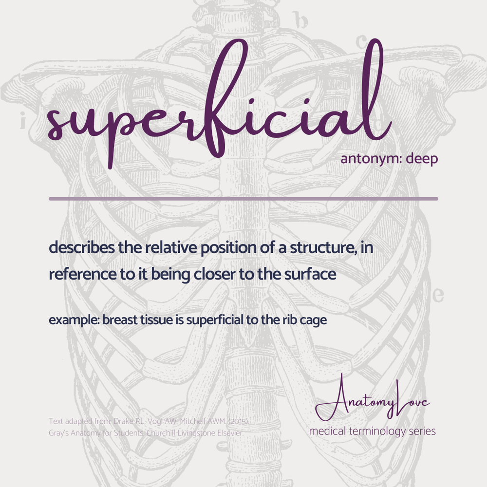Med terms - superficial - IG size.png