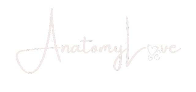 AnatomyLove