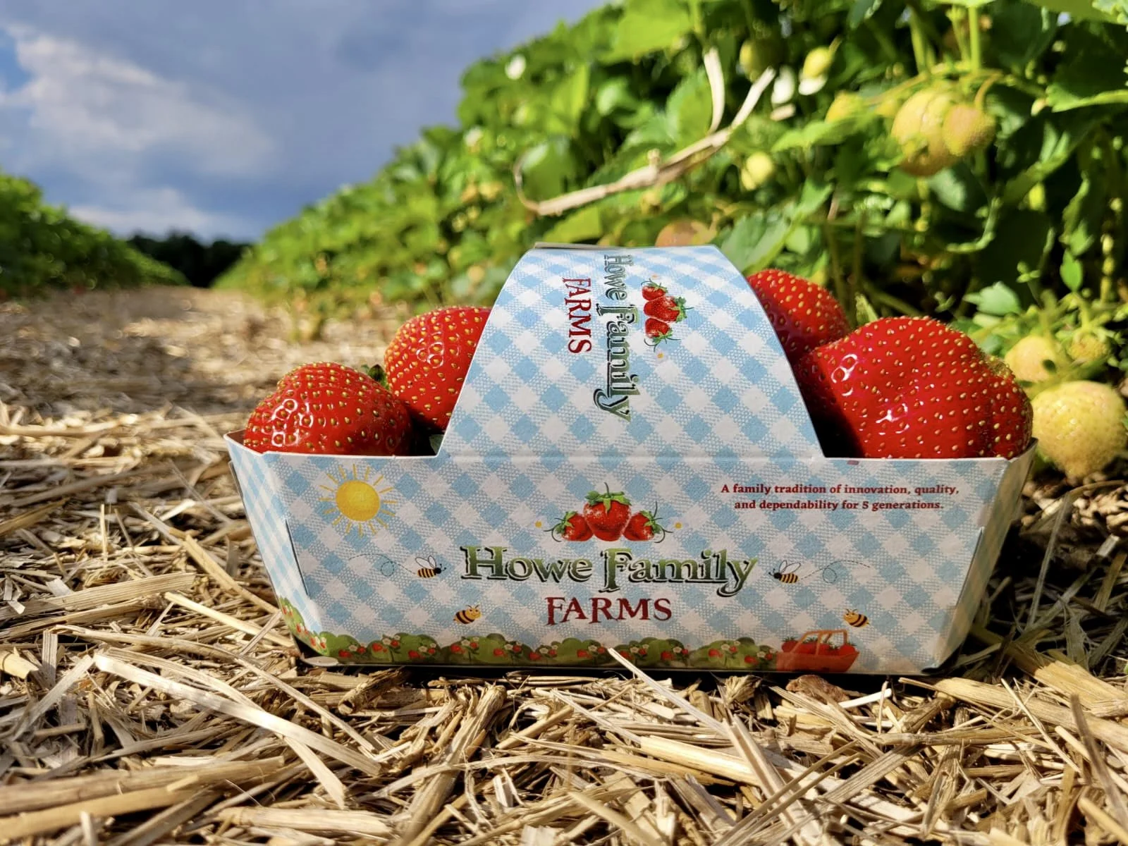 076b0767-3a2e-4c7f-b4b7-cfe92d5de279 3.jpg