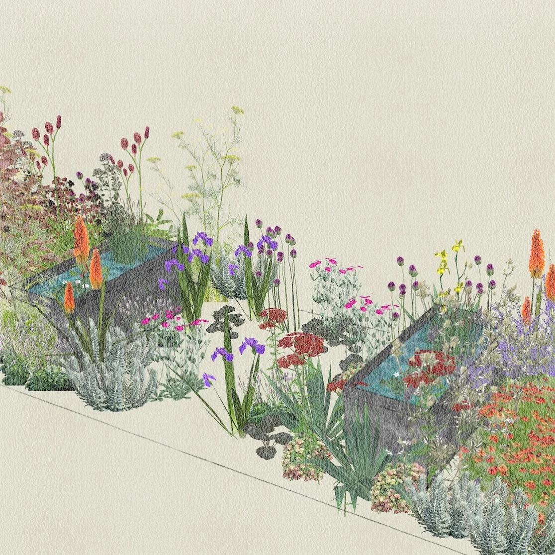 Detail from a design this week for a semi-formal courtyard bed, featuring two planted tanks,  drought-tolerant planting and crushed limestone mulch. Proposals include:

galvanised steel water tanks from @rutlandgardenclassics 
Perennials from @arvens