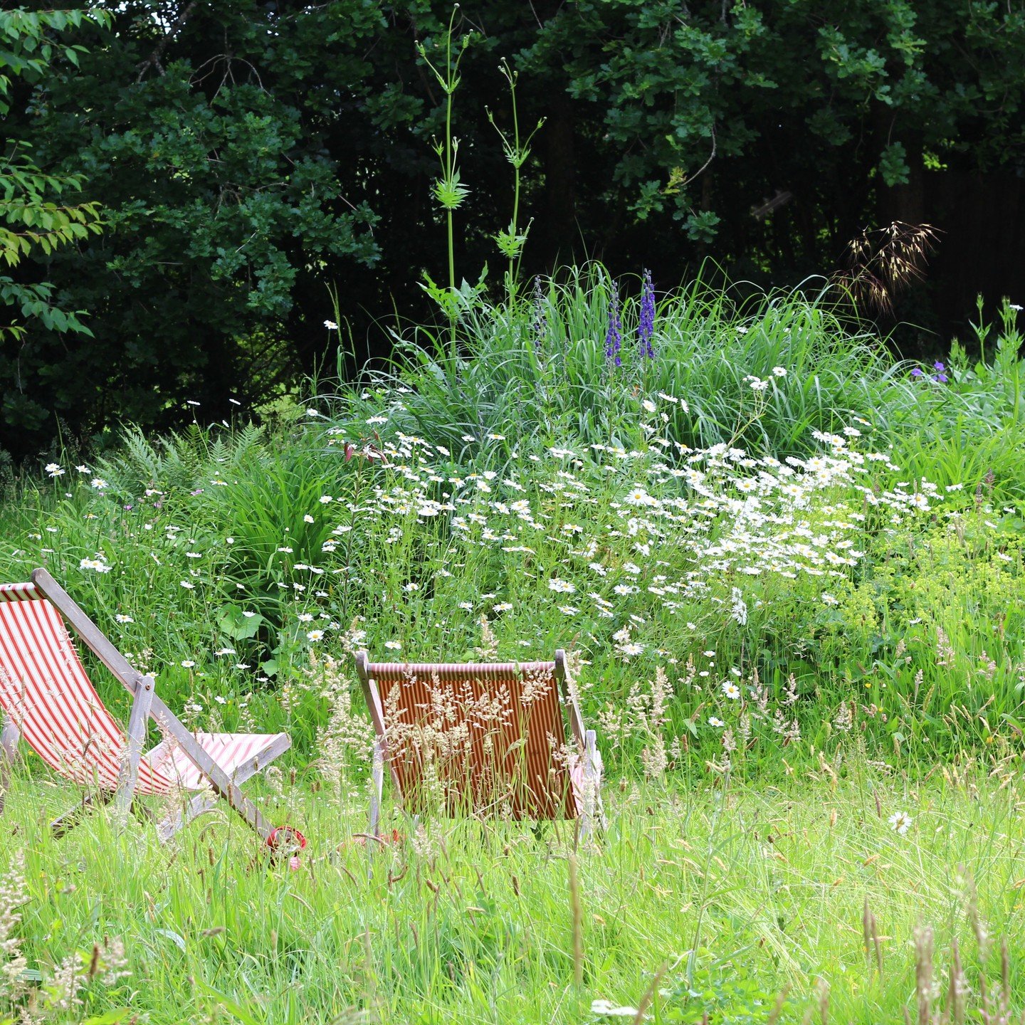 Continuing on the subject of minimal intervention... the awkward cookie cutter circle bed of sheepish plants could have been edited, the outline could have been tweaked to echo the space it shared or the plants could have been changed. Instead the ch