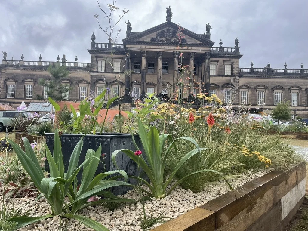 RHS Wentworth Woodhouse 2025