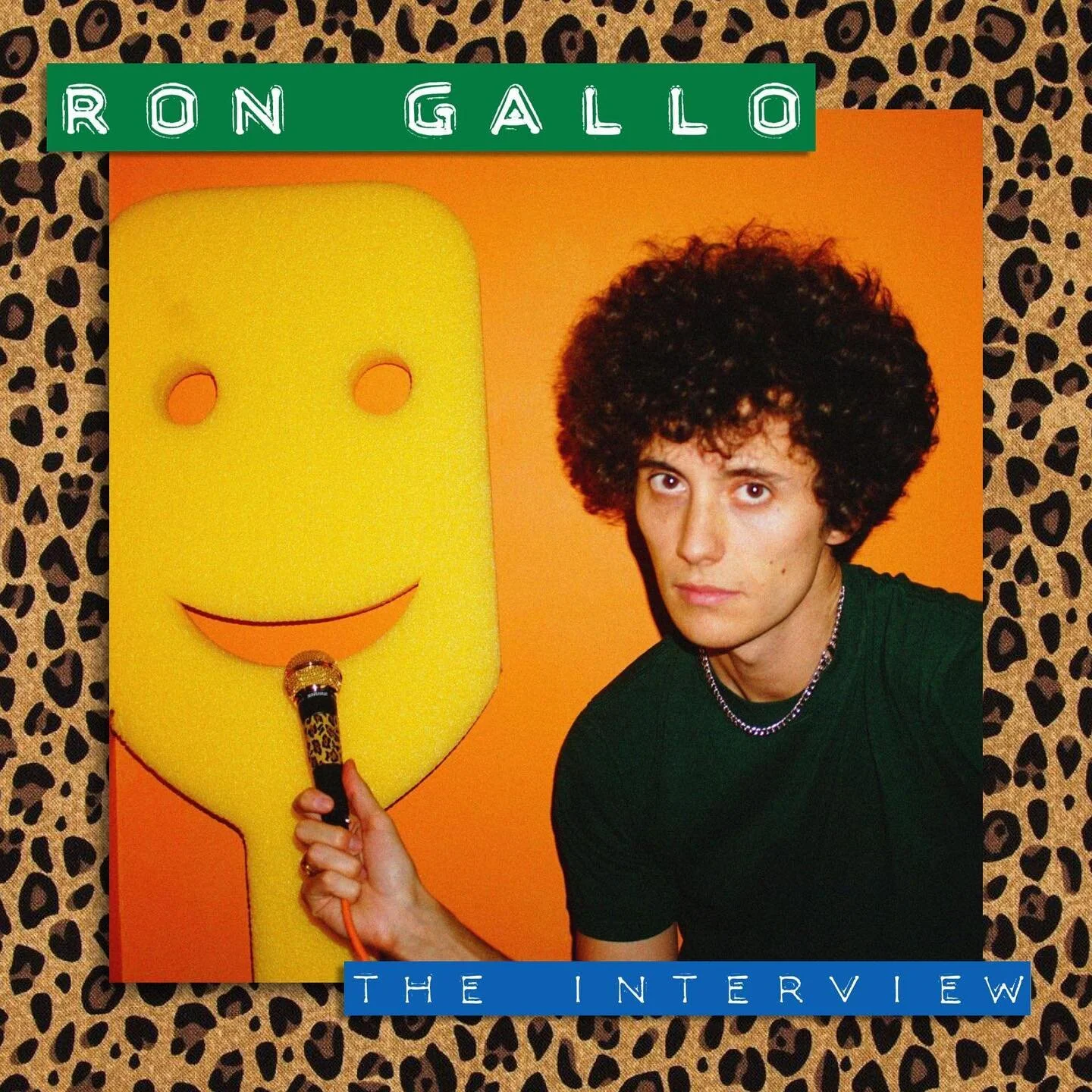 A conversation with Ron Gallo is a step into the unknown, and as far as anyone is concerned, a step in the right direction. The direction he takes with each album is impossible to guess, but nearly five years after his first solo release (and after f
