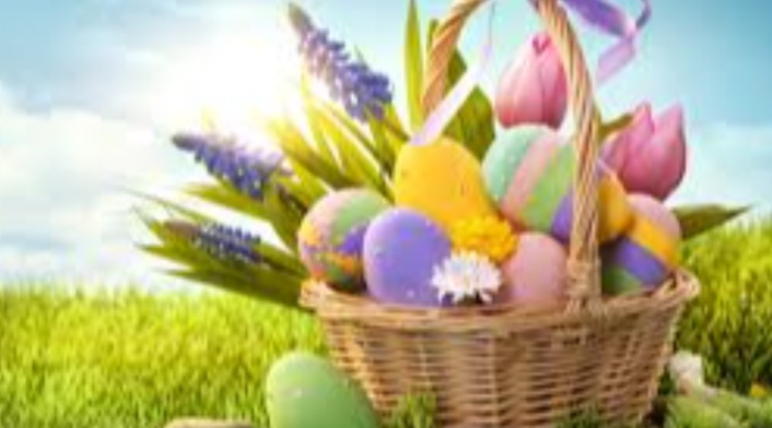 Volunteer Opportunity: Spring Event