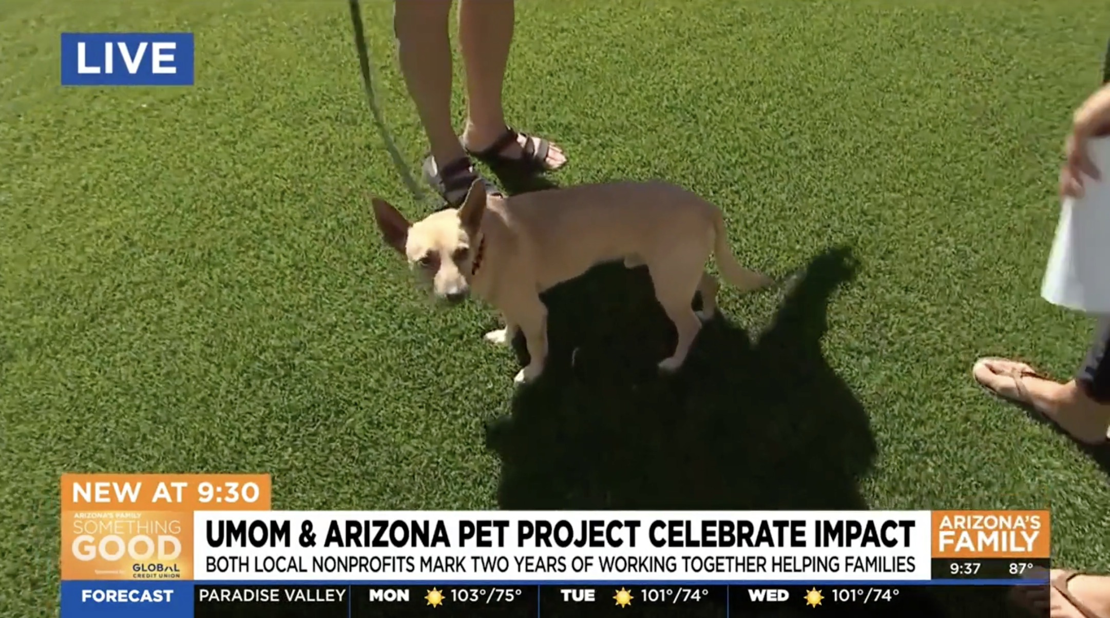 AZFamily:  Phoenix nonprofits mark two years of helping to keep families and pets together