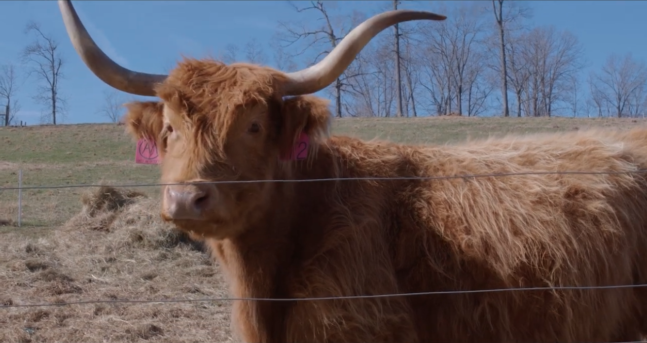 Screenshot 2026-04-21 at 5.30.06 PM.png