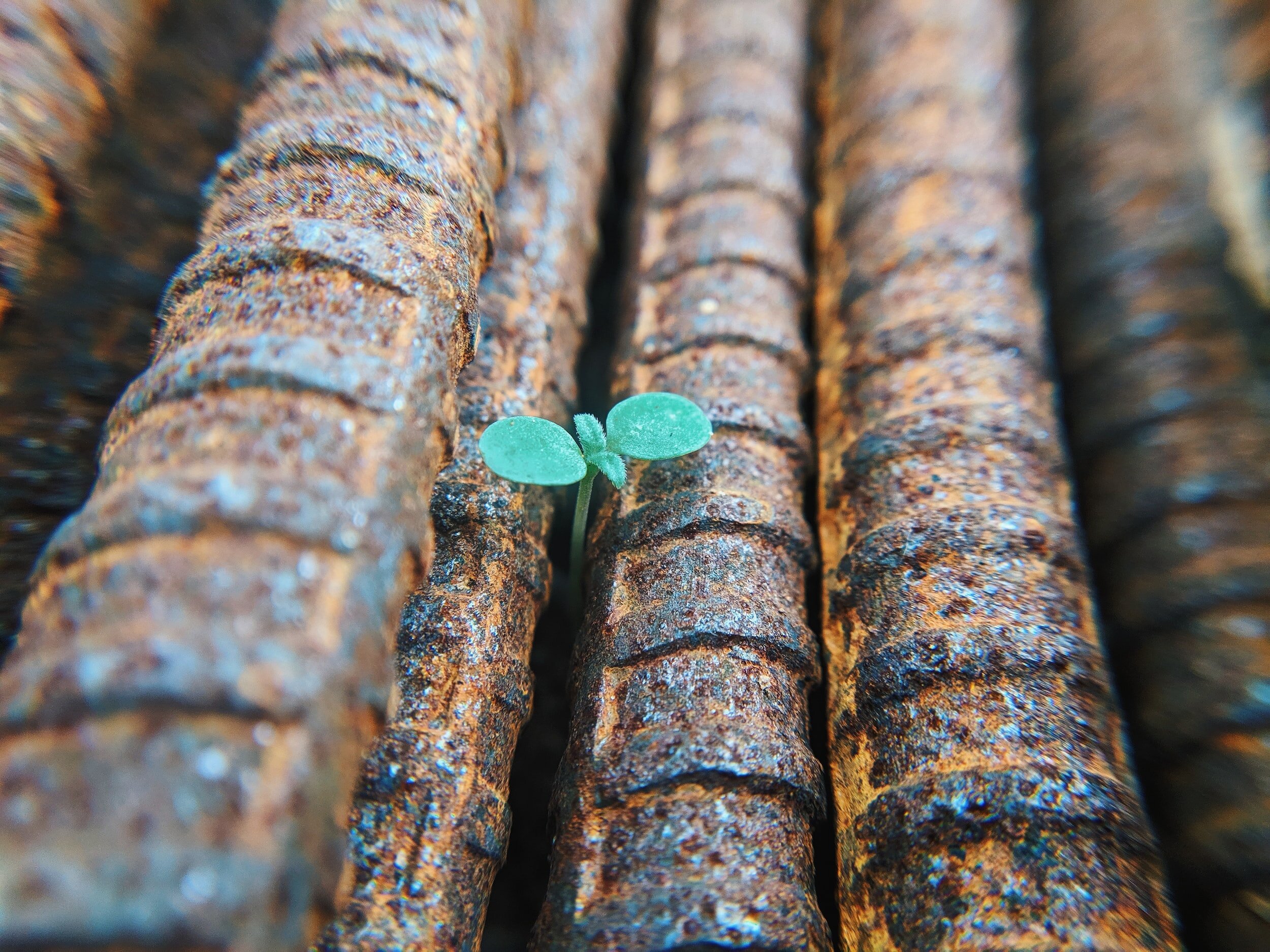 Sometimes… Finding Hope in a Chaotic World