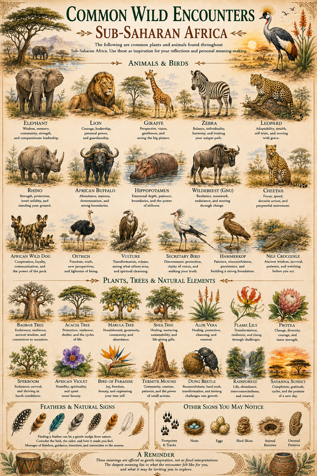 Sub-Saharian Wildlife Guide pg.png