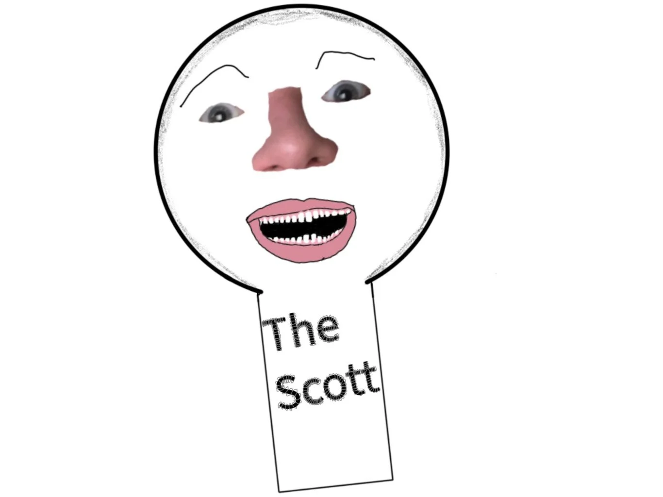 The Scott
