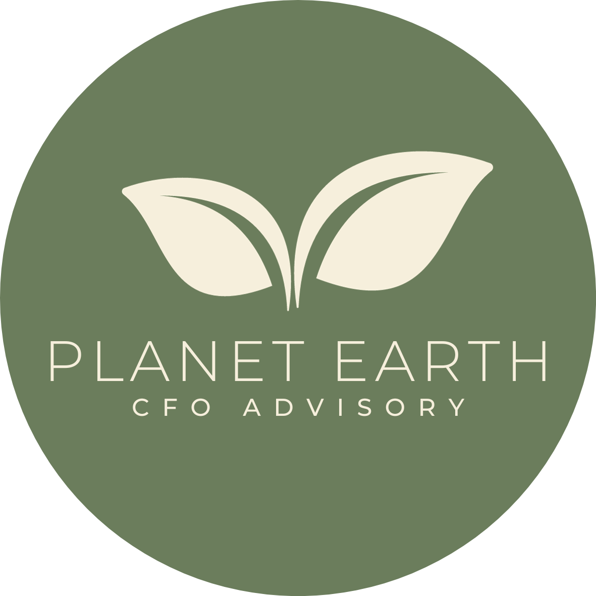 Planet Earth Accounting &amp; Advisory