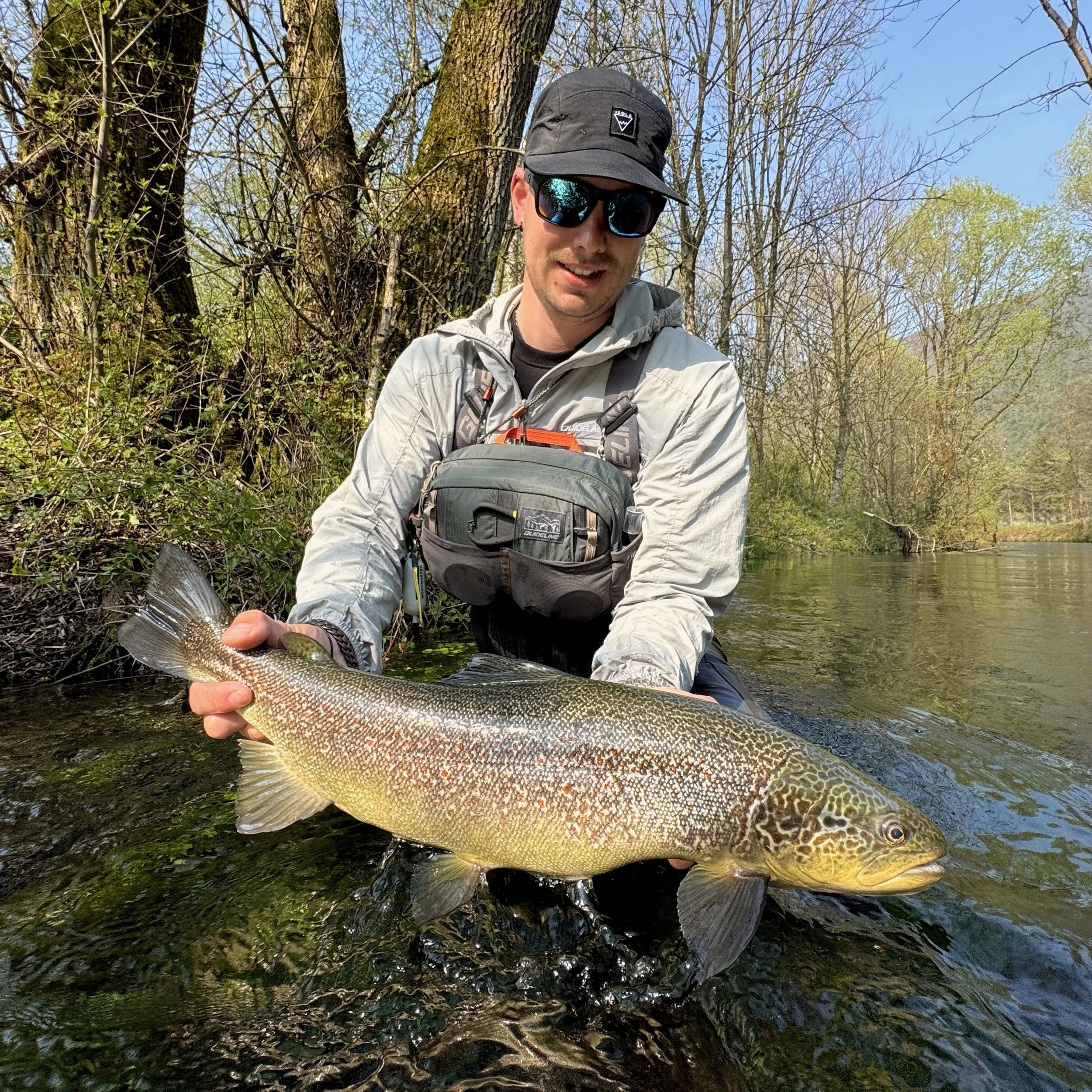 Man holding a large fish in a river surrounded by trees.