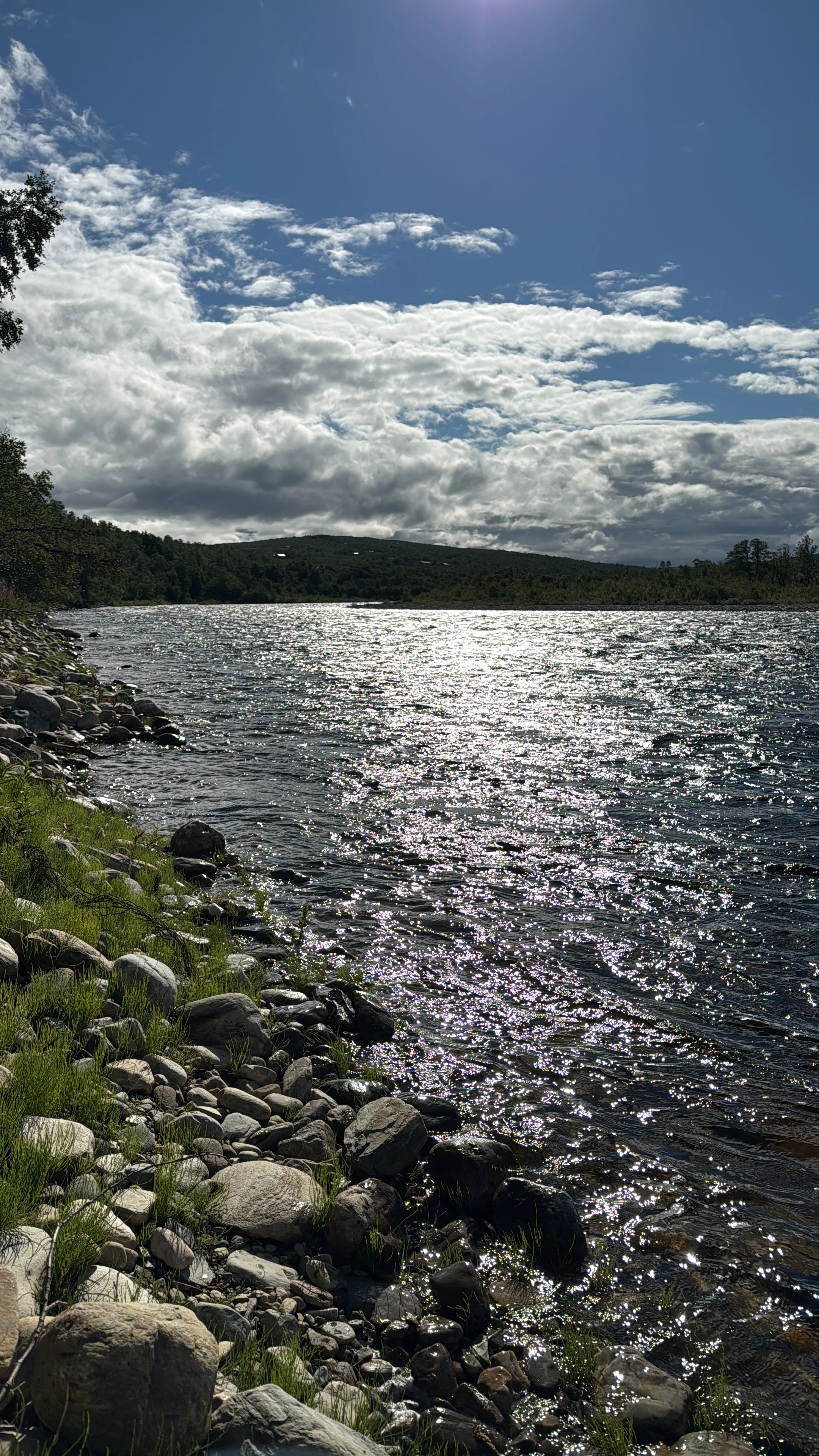 8C3849F2-9AB8-437F-871C-97CFB5931681.JPG
