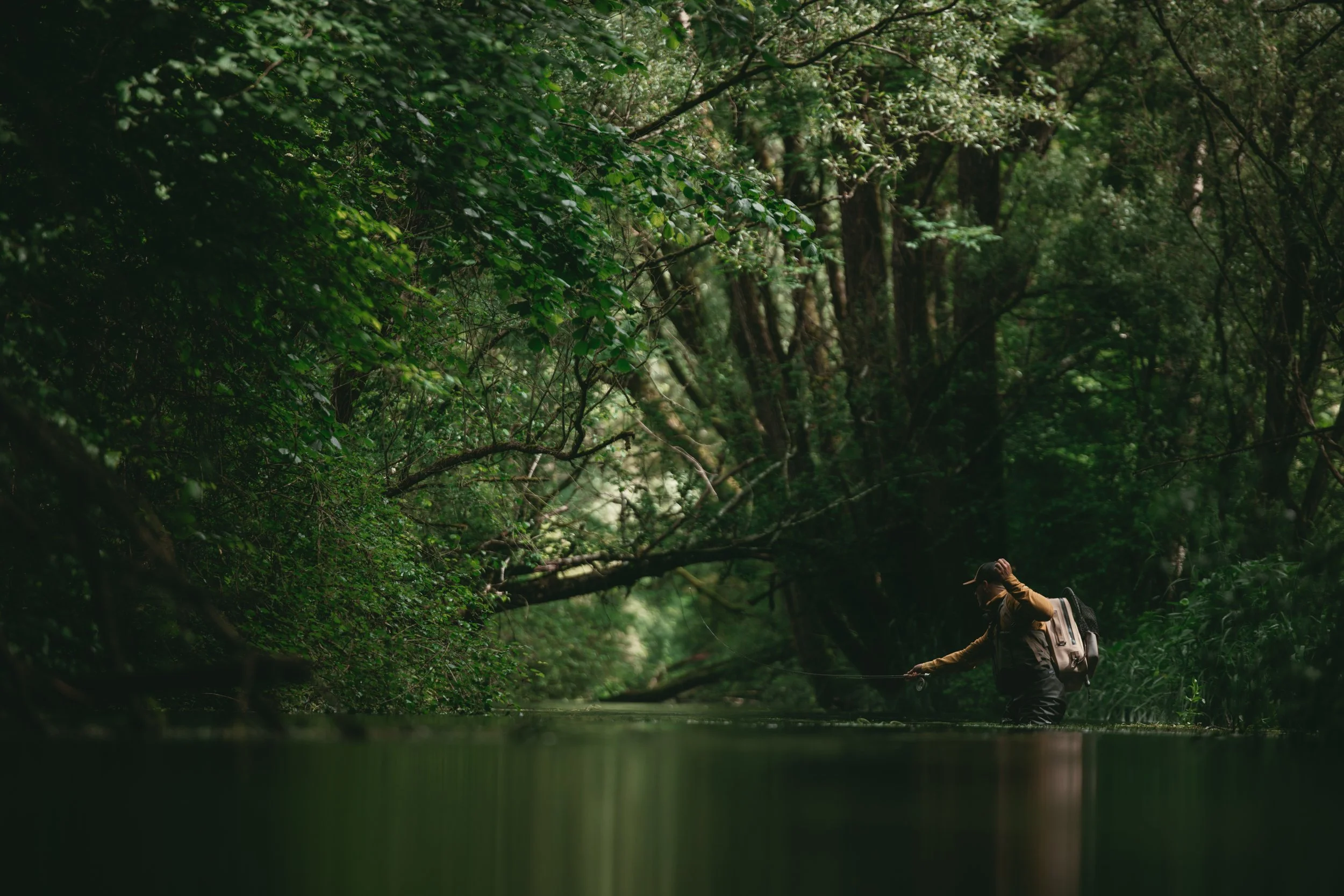 A person fishing in a forested river, surrounded by lush green trees with dense foliage.