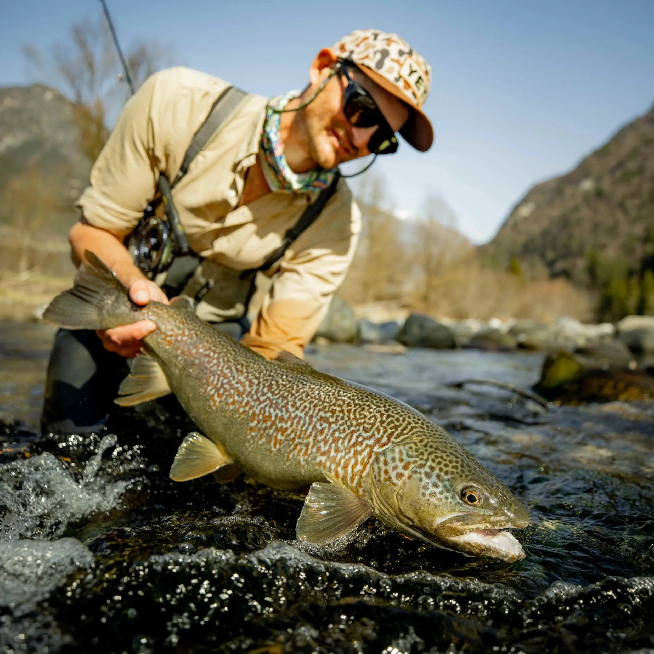 The queen of the river