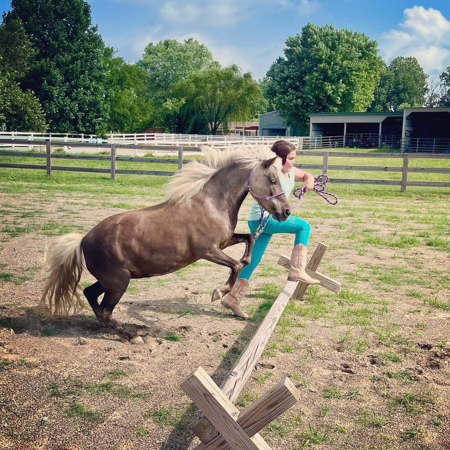 jump.jpg