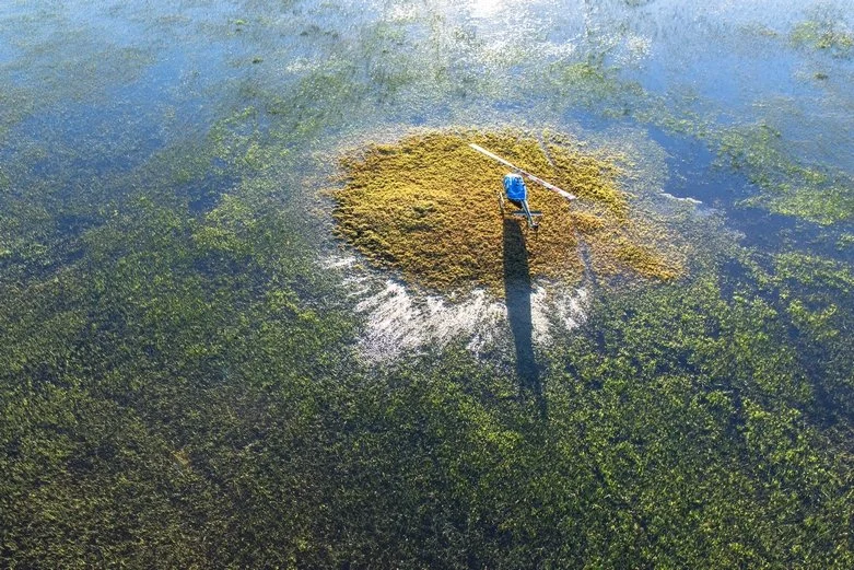 Helicopter Horizons - Okavango Delta 89.jpg