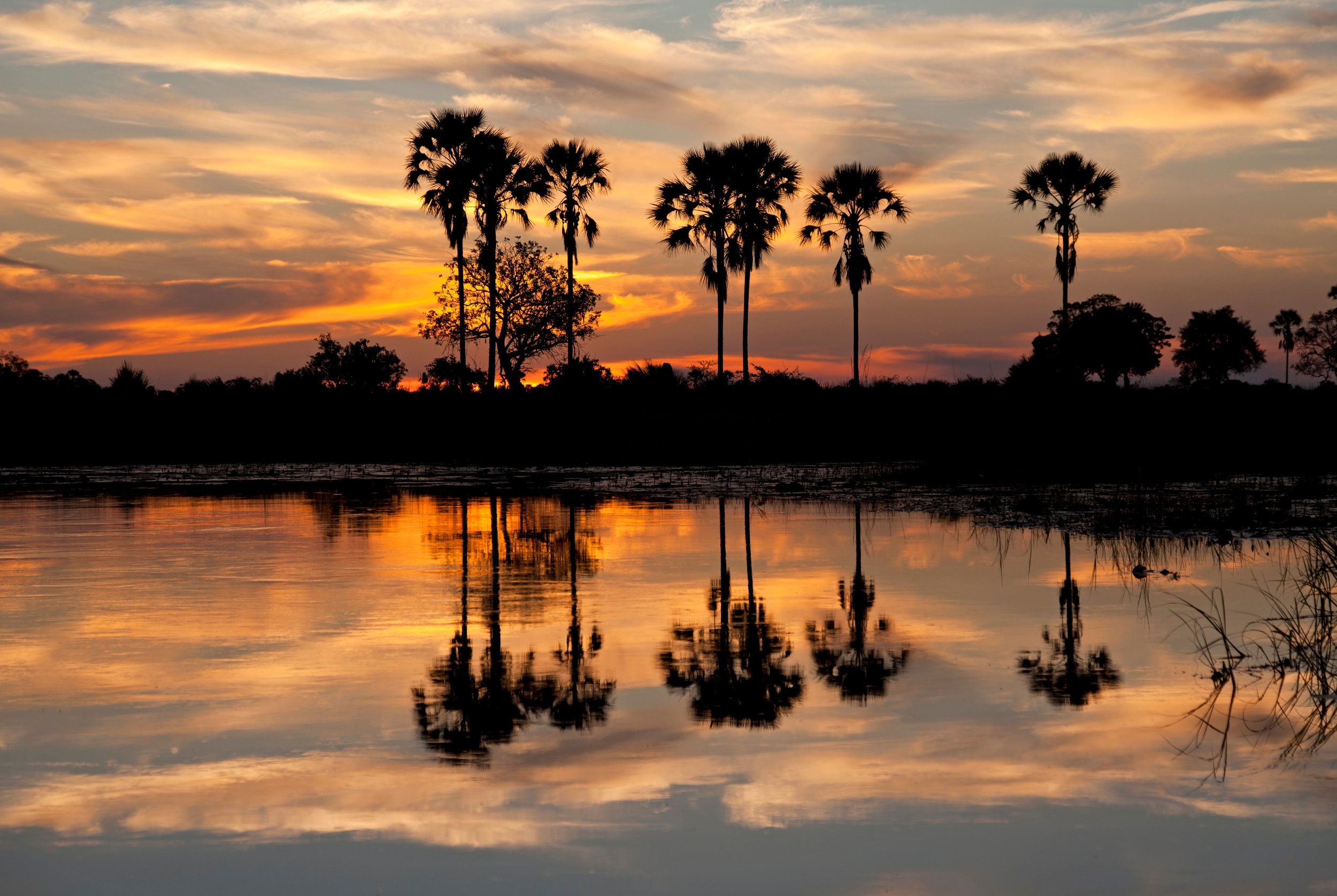 Okavango Delta (4).jpg