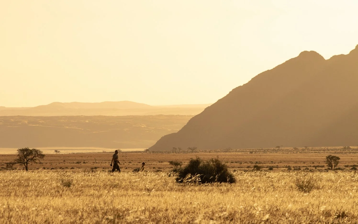 Ultimate Nambia 14 Days | Discover Namibia — Book Your Adventure ...