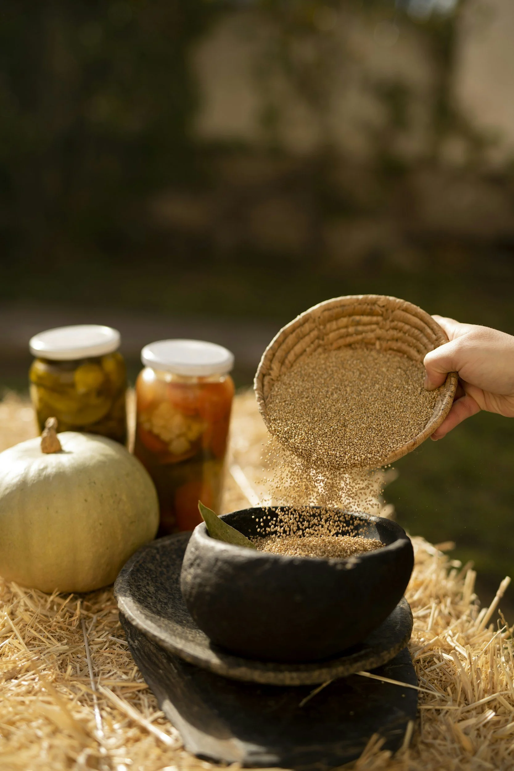 Ingredient Spotlight - QUINOA PROTEIN