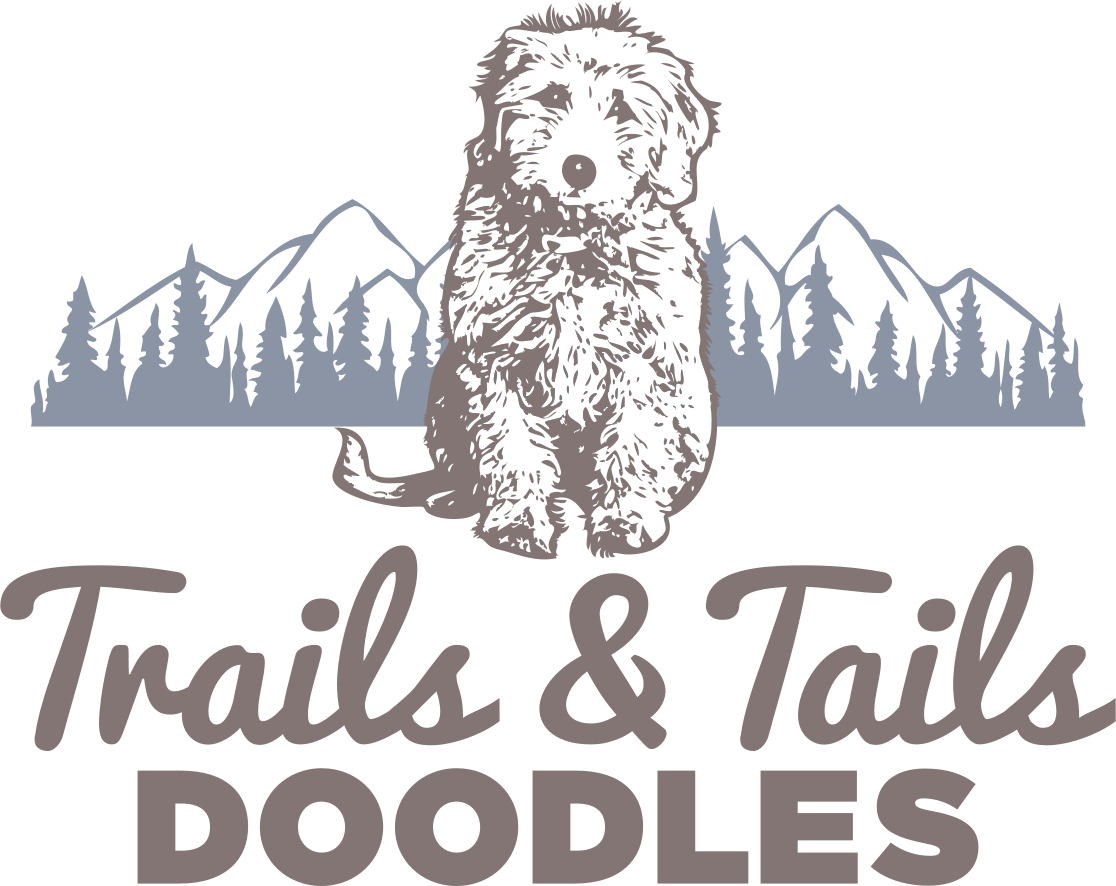 Trails &amp; Tails Doodles