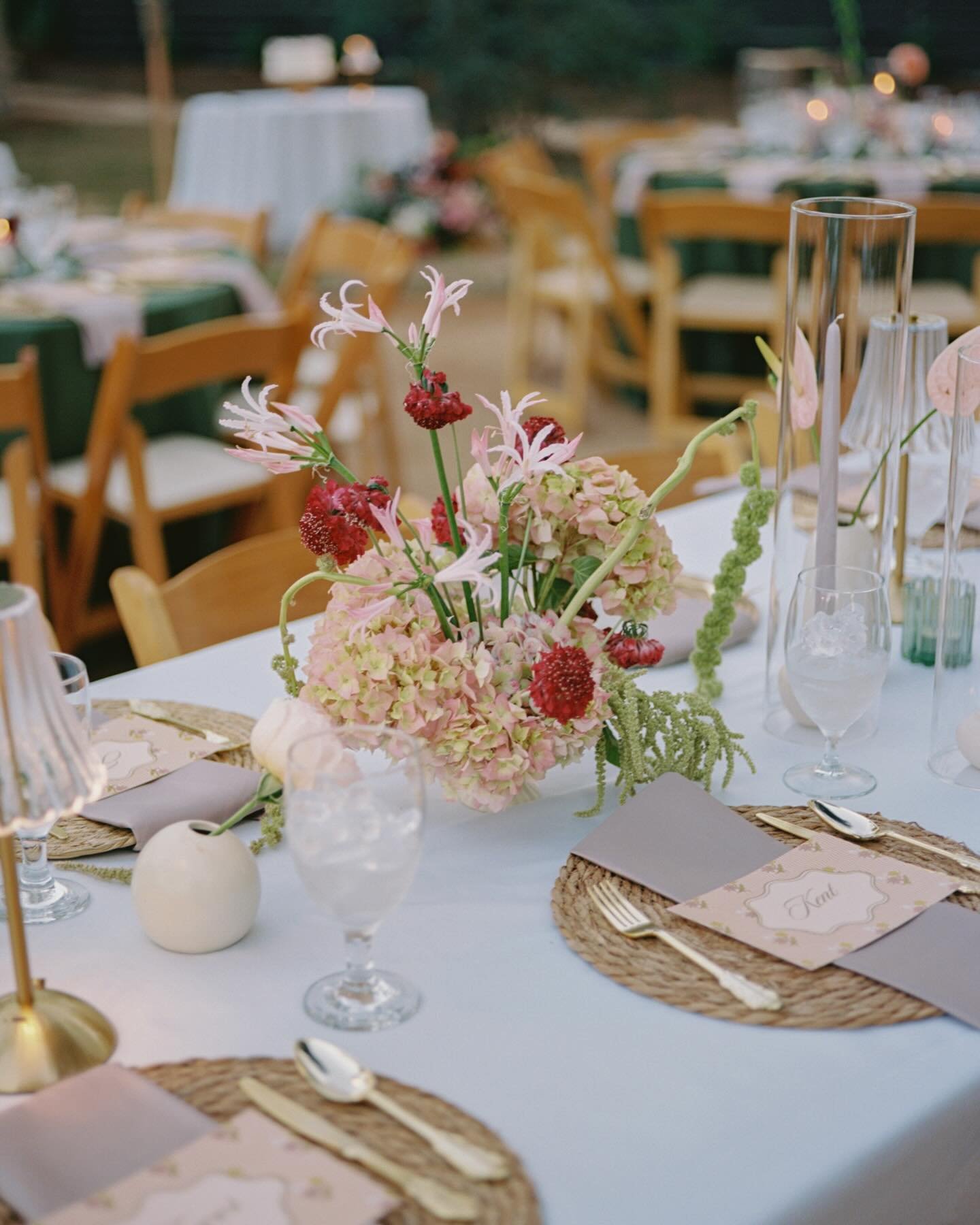 A little bit of this 🌸🌱🍴and a little bit of that 🕺🏻🪩🌊 from November second shooting for @colorandbeam