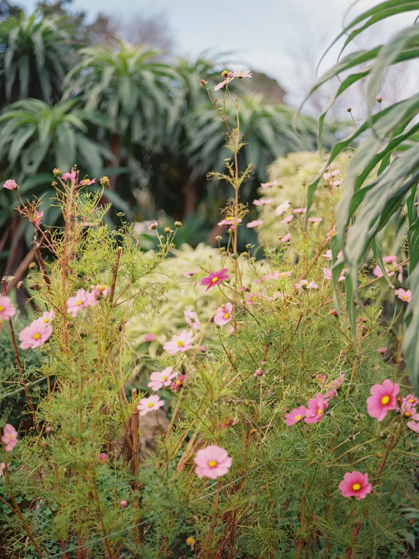 A beautiful and vibrant corner of this world that I can&rsquo;t stop thinking about