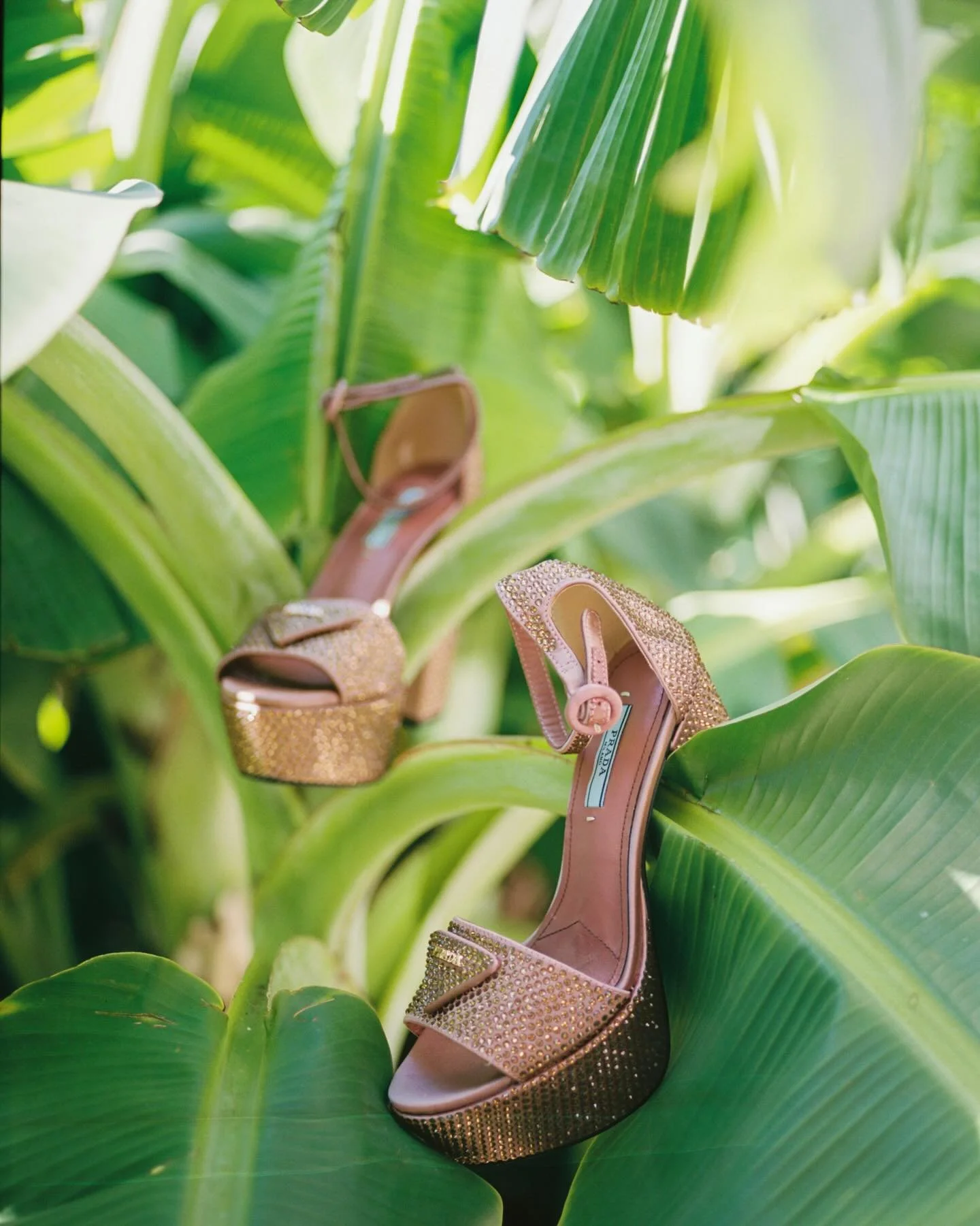 Every corner filled to the brim with bespoke details, every guest best-dressed, &amp;&amp; every single drop of sunny golden light - dreamy! ✨☁️🌸🍸🍭

A day for the books second shot on film for @coletteelysephotography