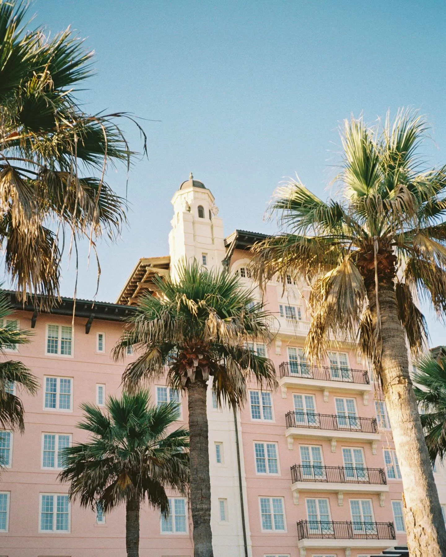 been busy playing and cheers-ing and wining &amp; dining! after a week-long crash course in paperwork and finances plus one visuals officially became an llc (!) mom and dad paid me another visit. i made new friends, hugged old friends, and said bye t