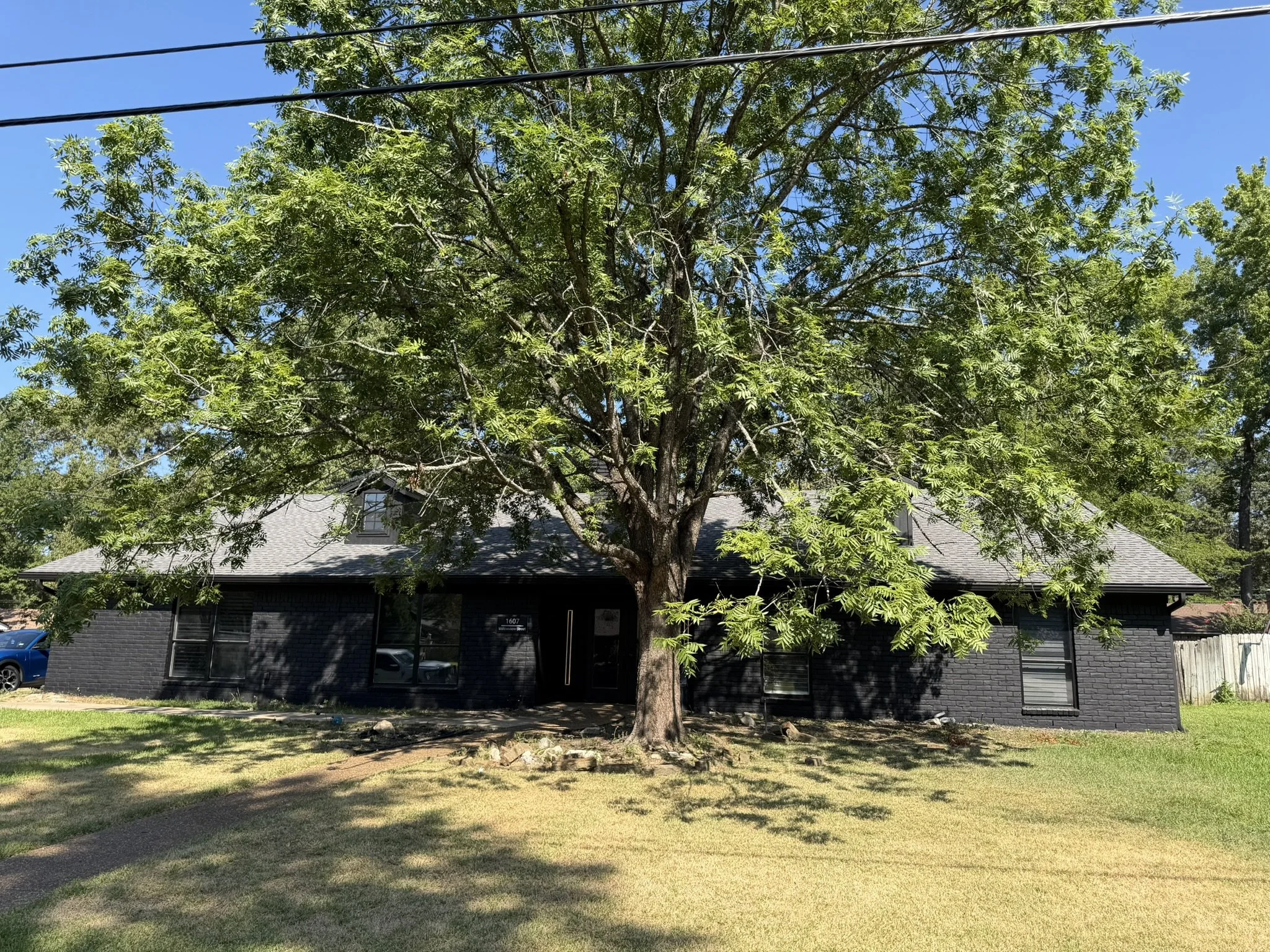 A large green tree in front of a black house with a sloped roof, set against a bright blue sky.