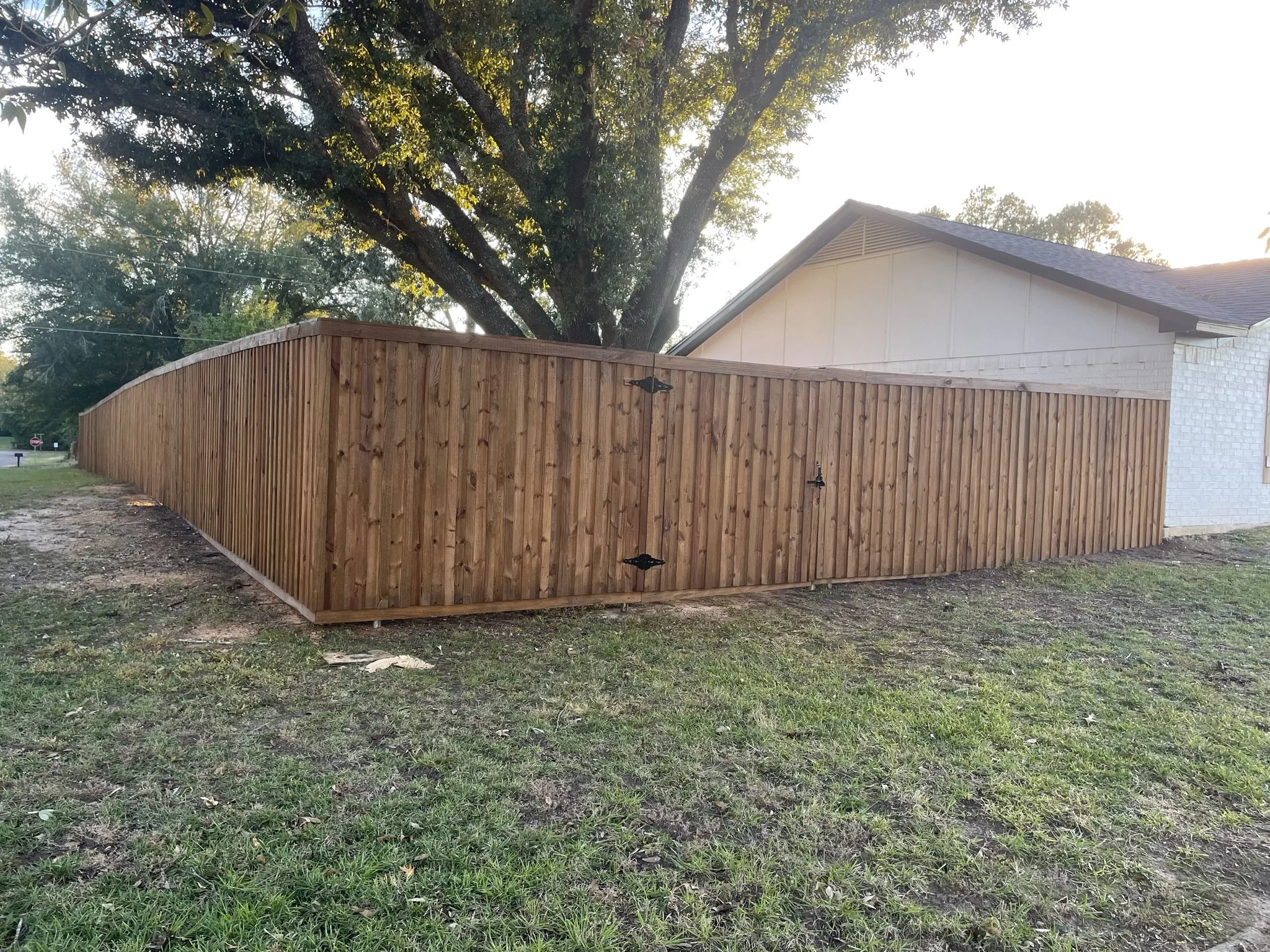 A wooden fence curves along a grassy yard with a white house and large tree in the background, under a bright sky.