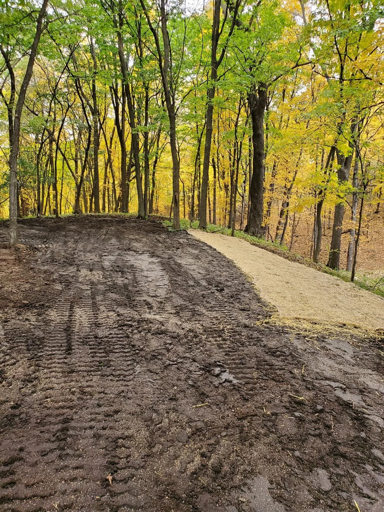 site preparation and excavation company central minnesota msb excavating and tiling, llc.jpg