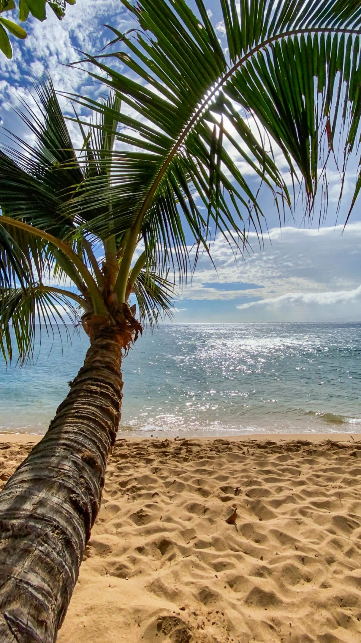 Hawaii