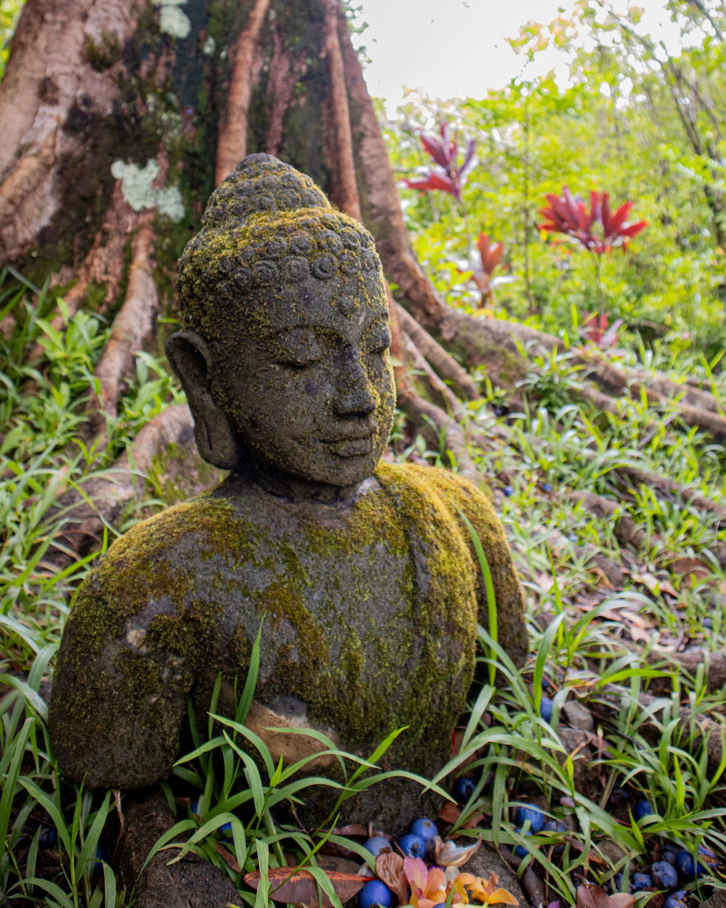Garden of Eden, Hawaii